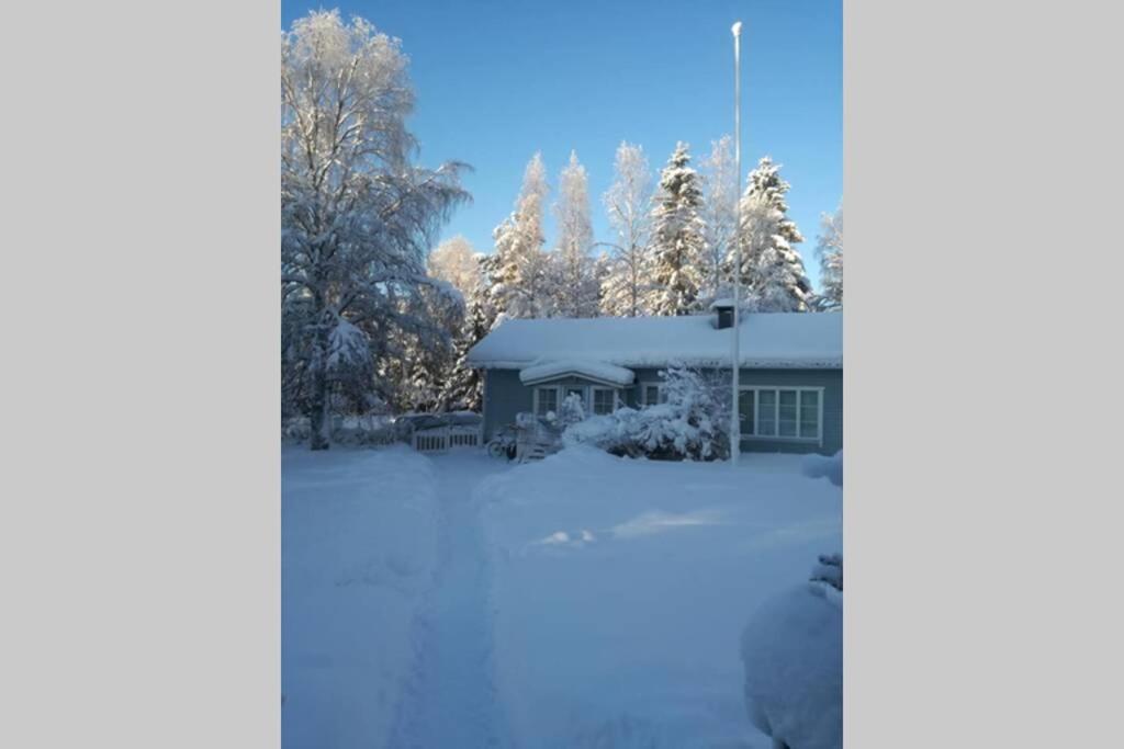 Rovaniemi Vacations - Arctic Circle Tranquillity - Property Image 14