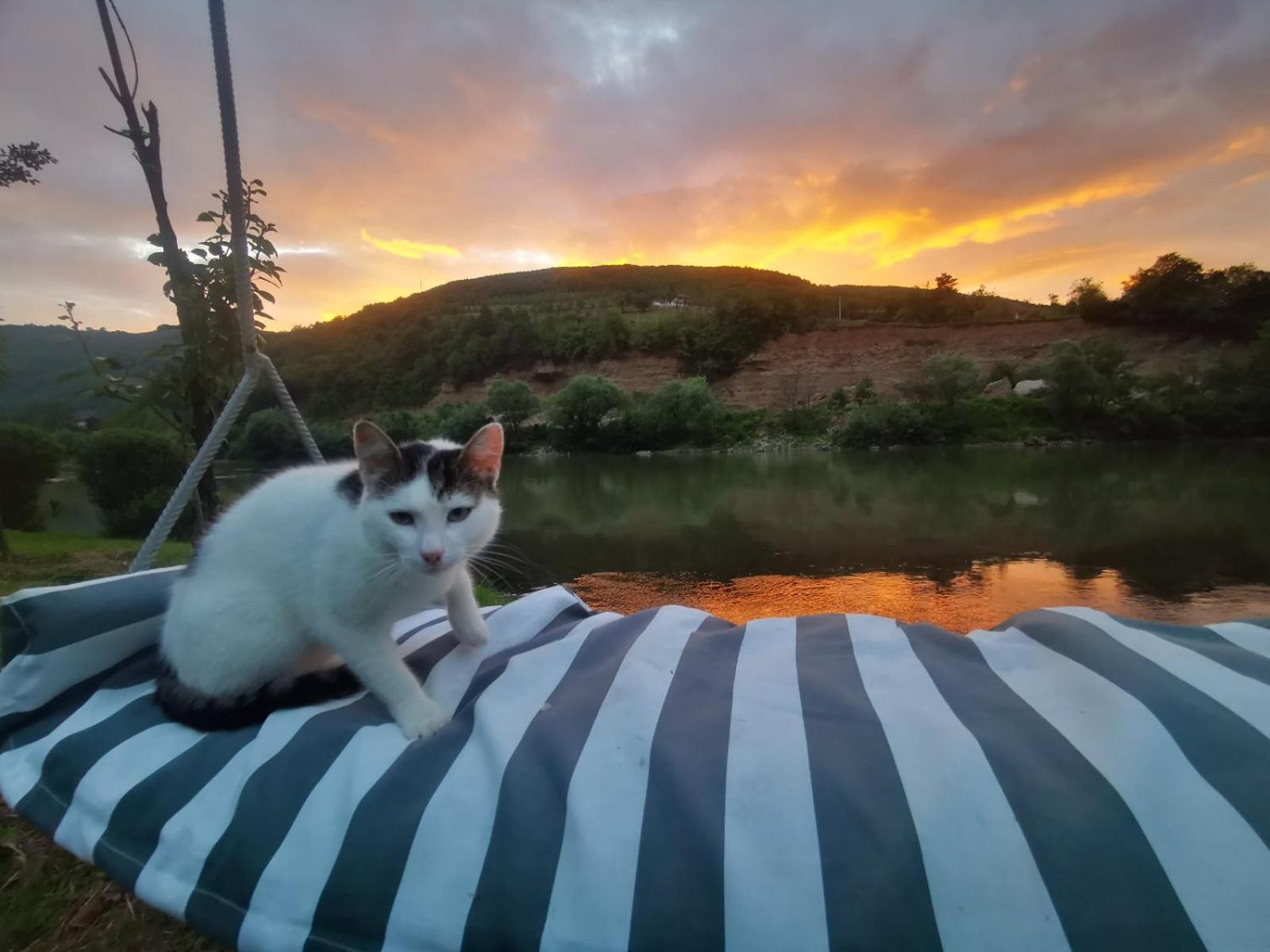 Prenoćište na Drini Foča