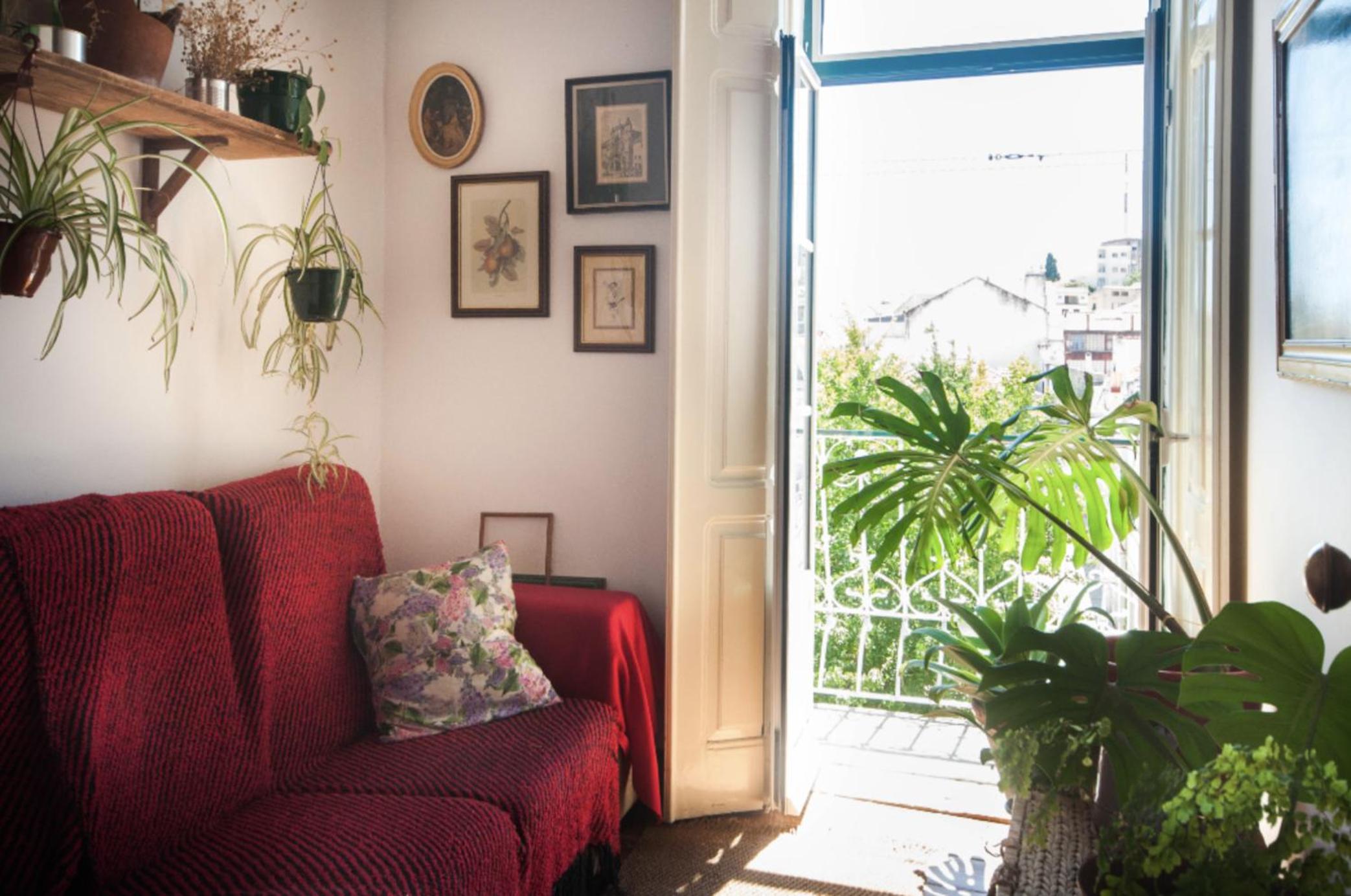 Oliva Guesthouse