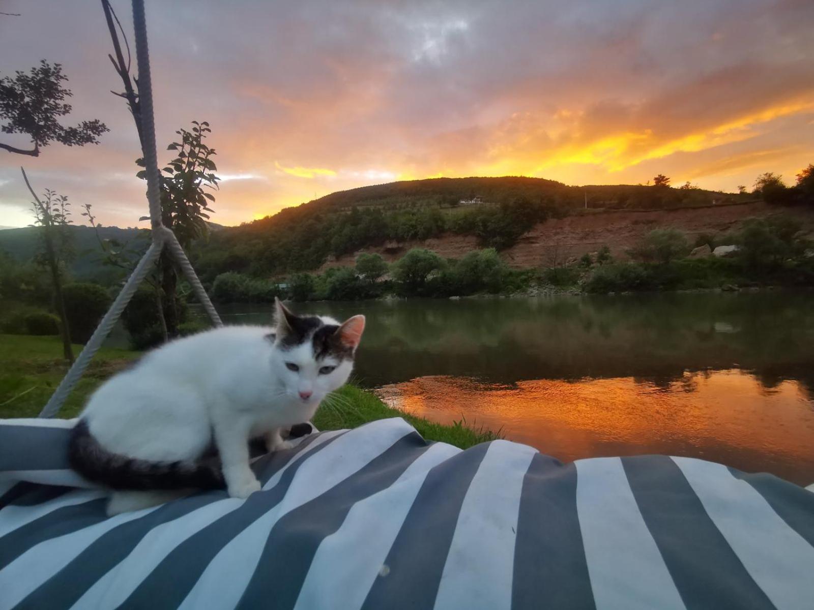 Prenoćište na Drini Foča