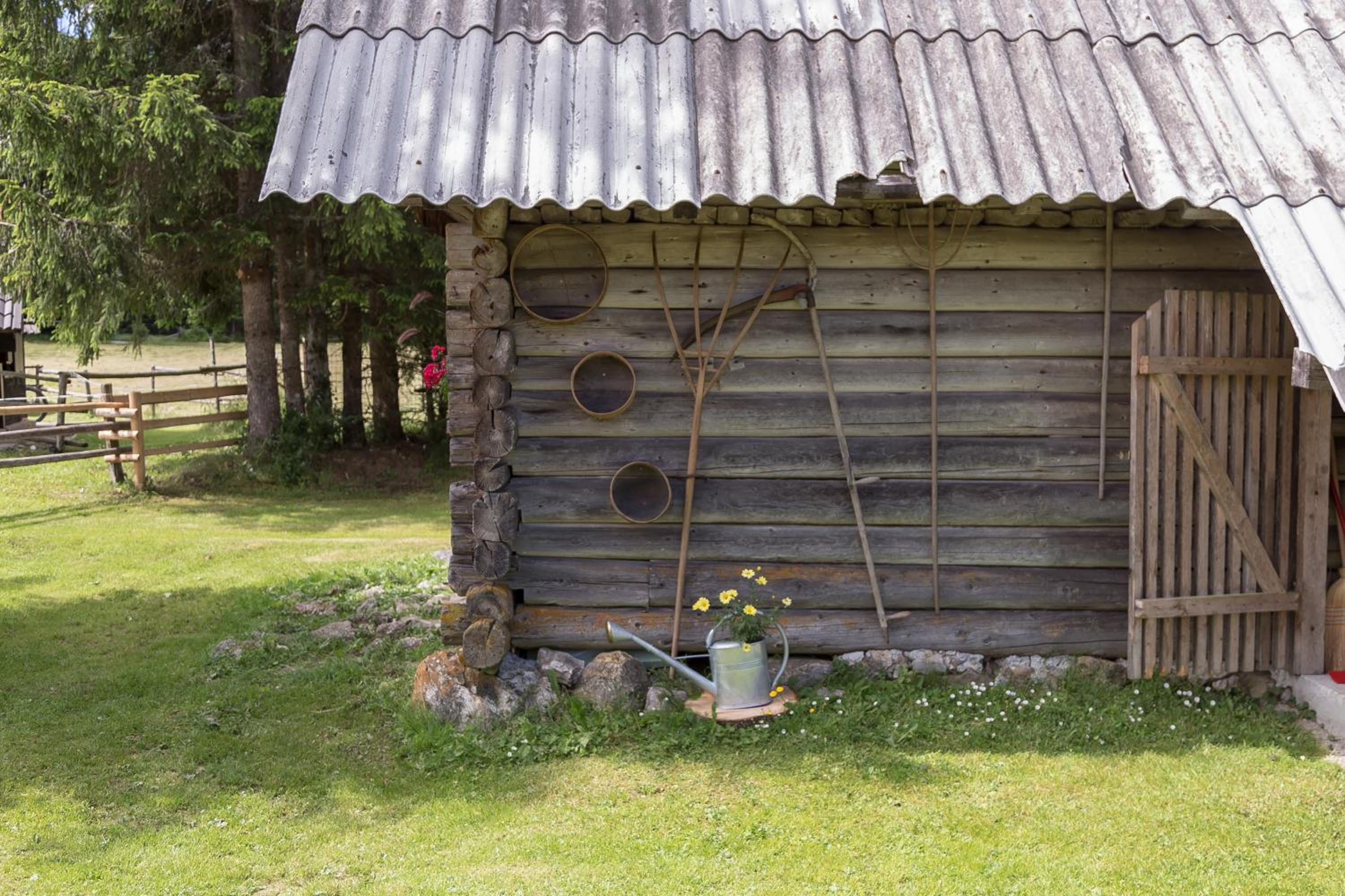 Photo 45
