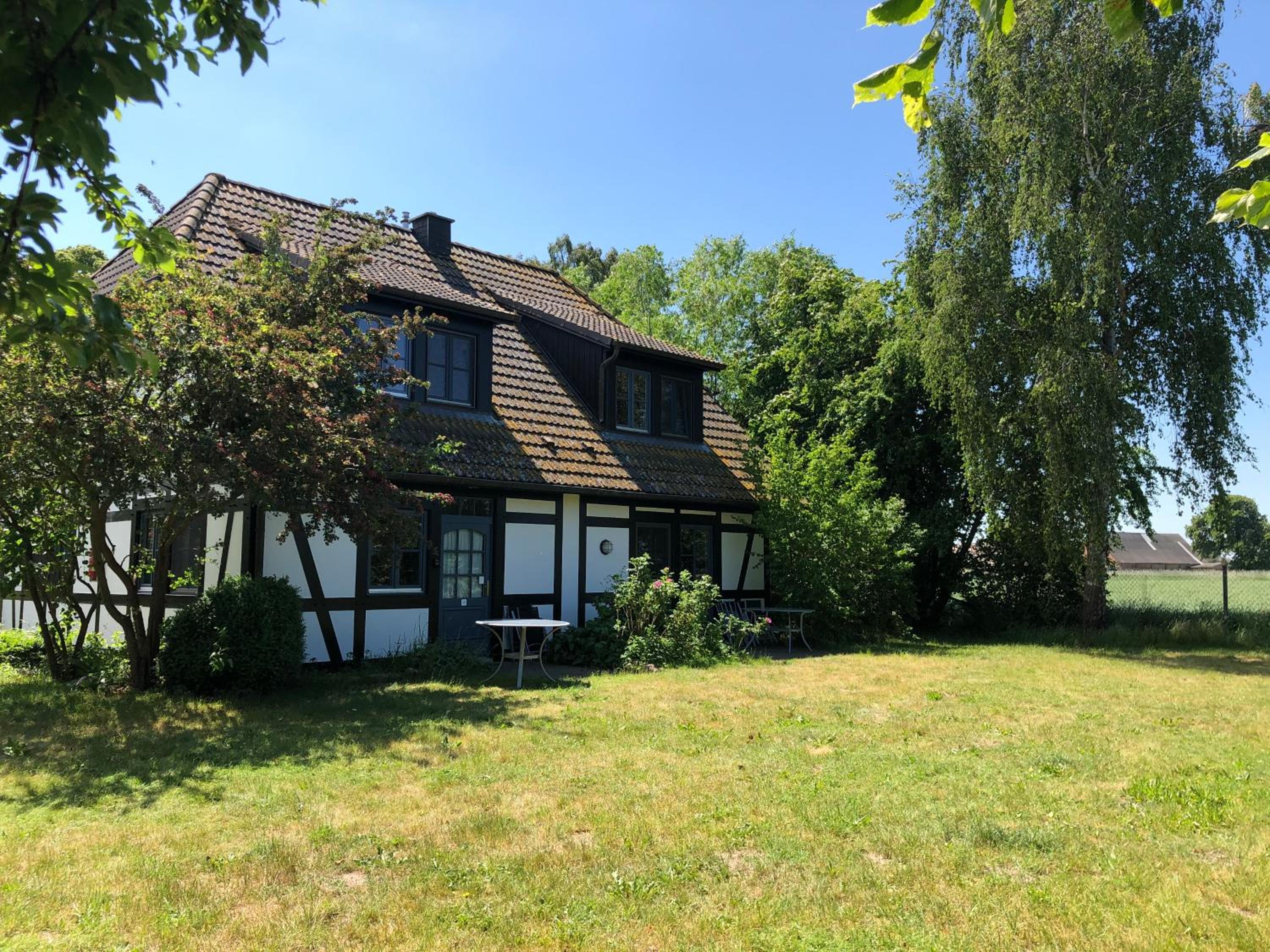 Photo 45