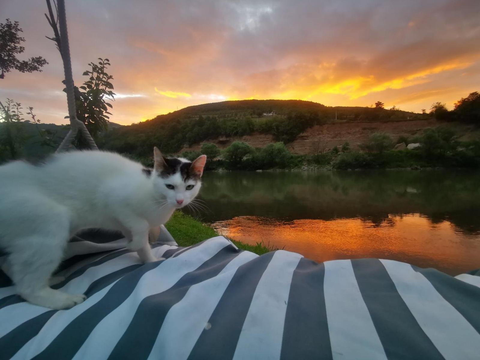 Vikendica pored Drine Foča