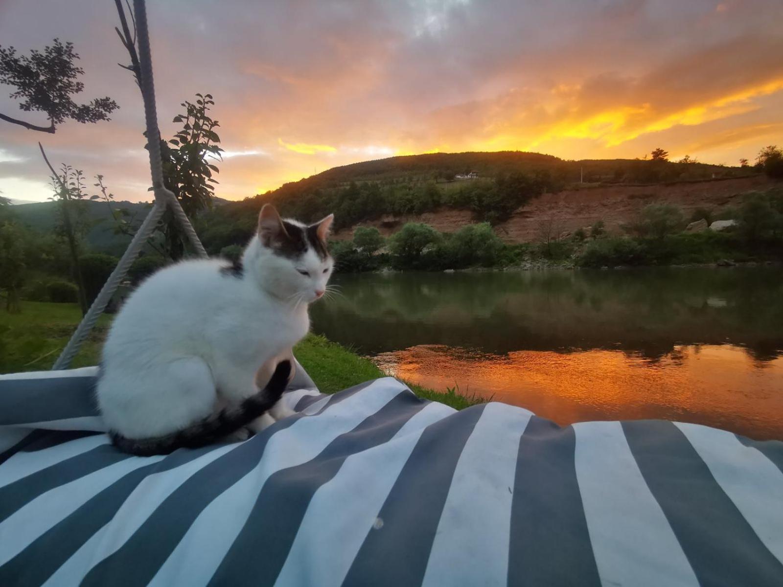 Vikendica pored Drine Foča
