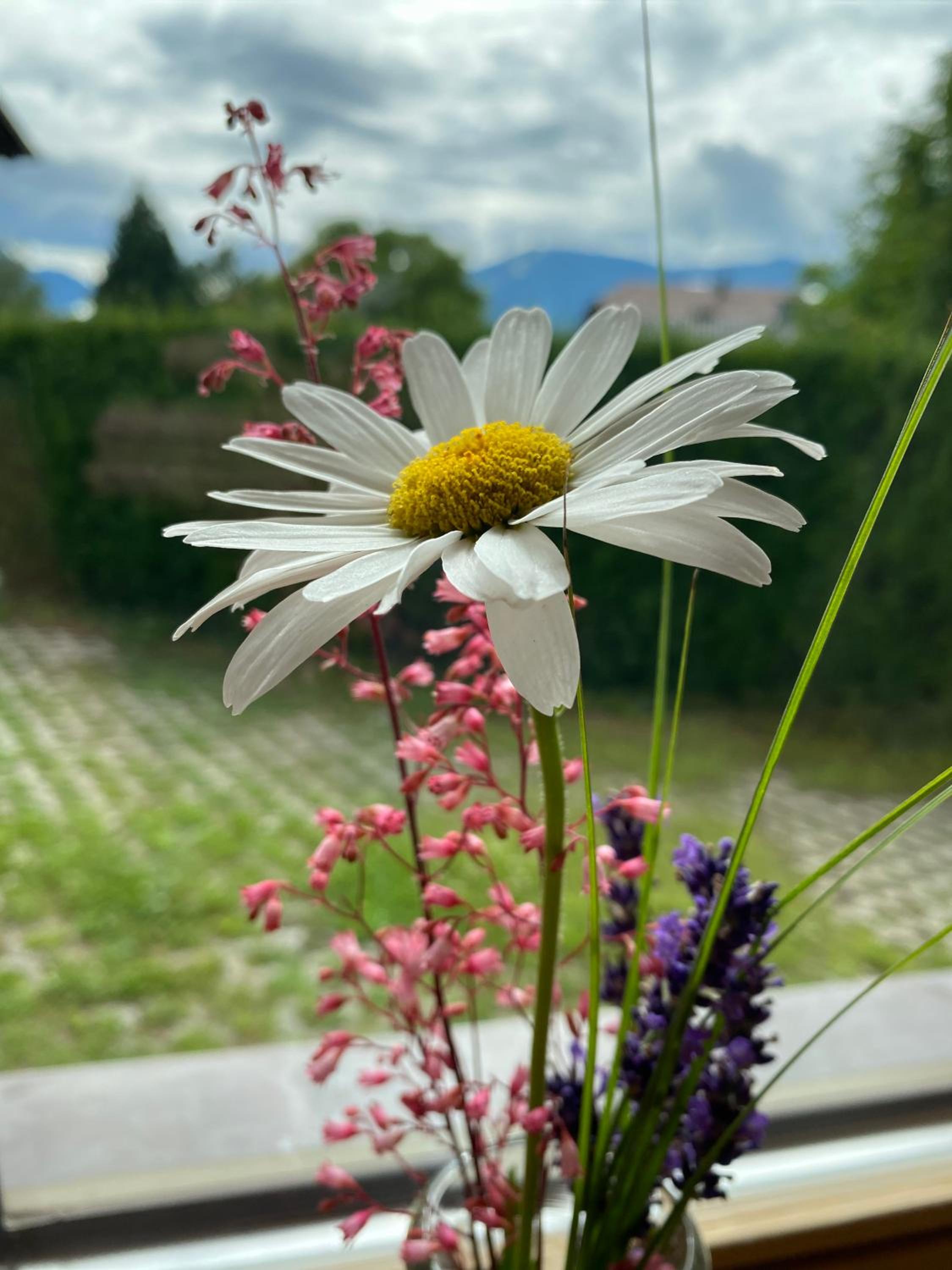 Ferienwohnung Dolomiten