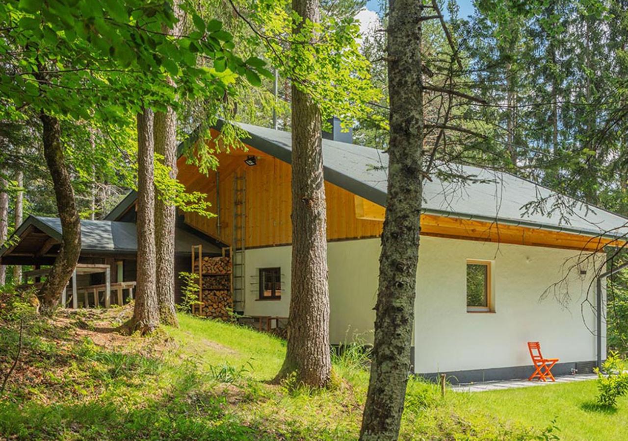 DAS HAUS IM WALD