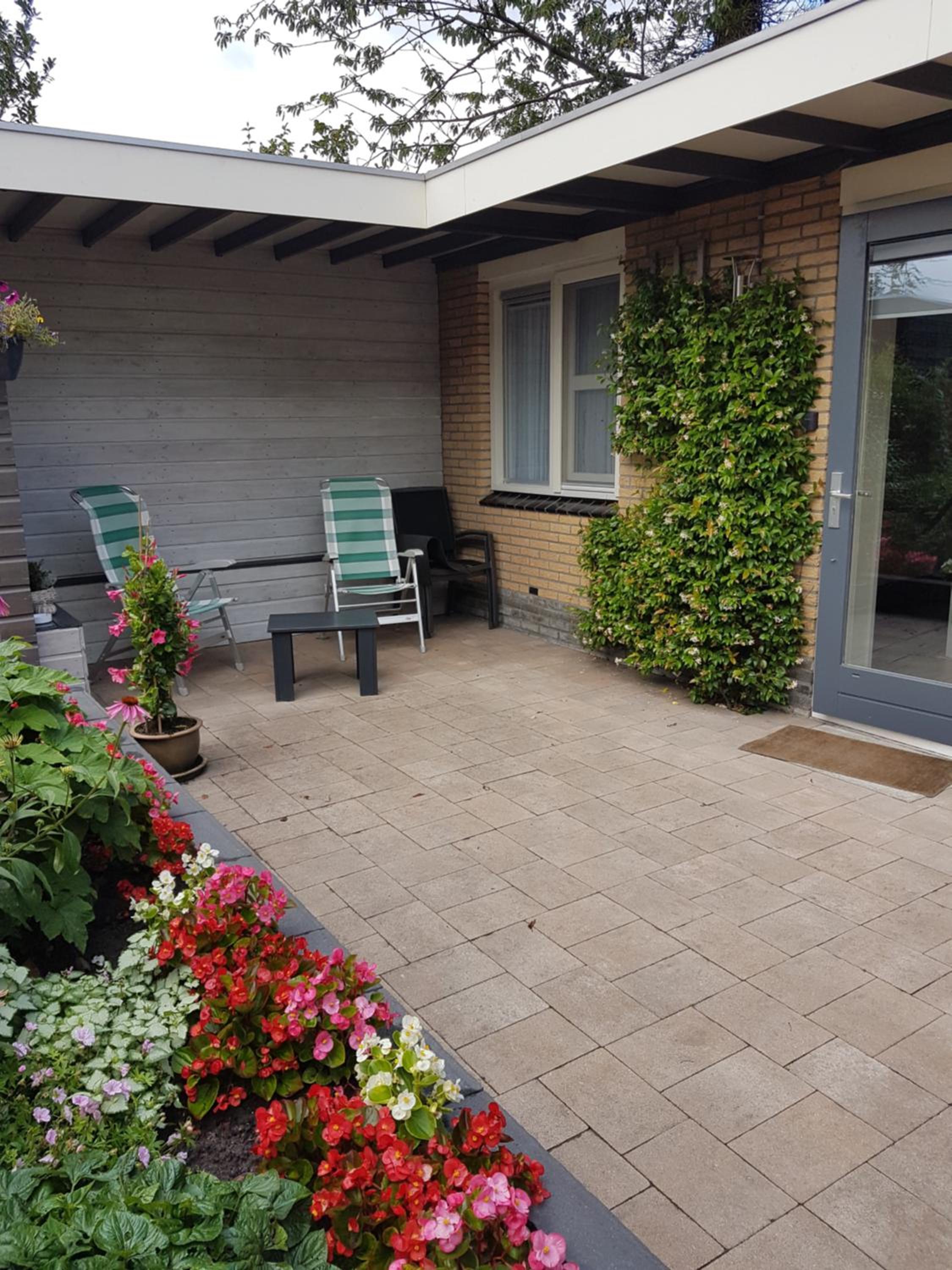 Achter de Beukenboom view 4