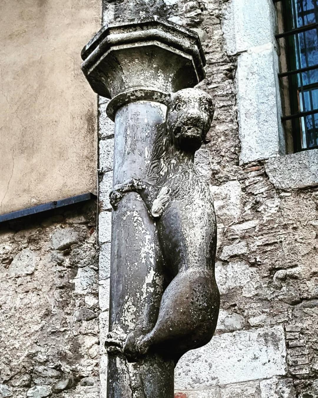 Photo 37