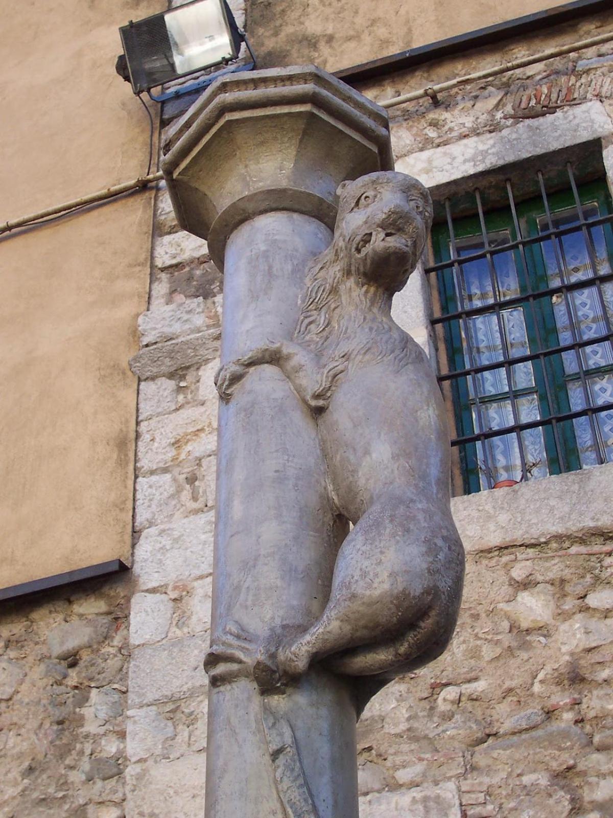 Photo 53