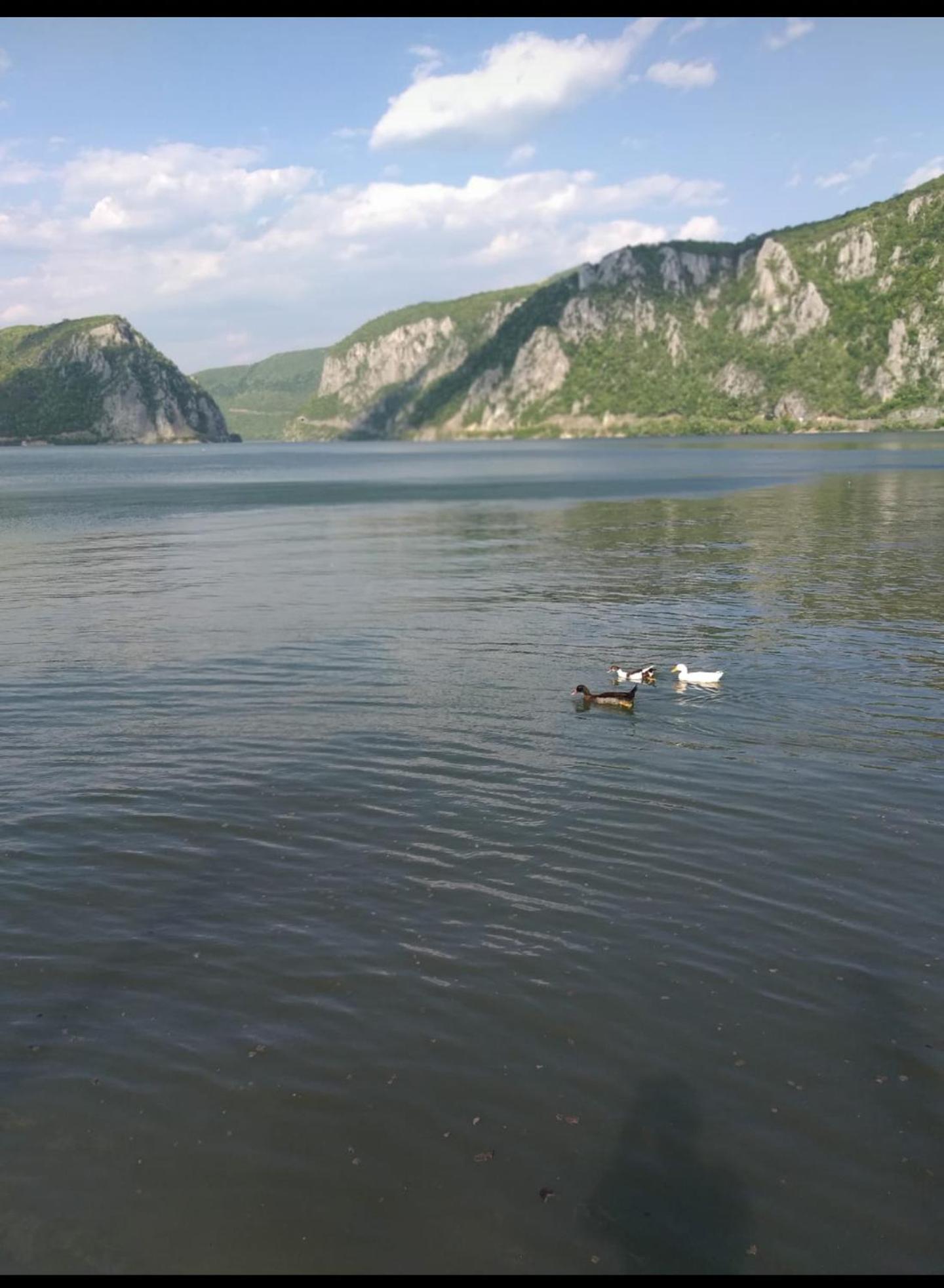 Photo 49