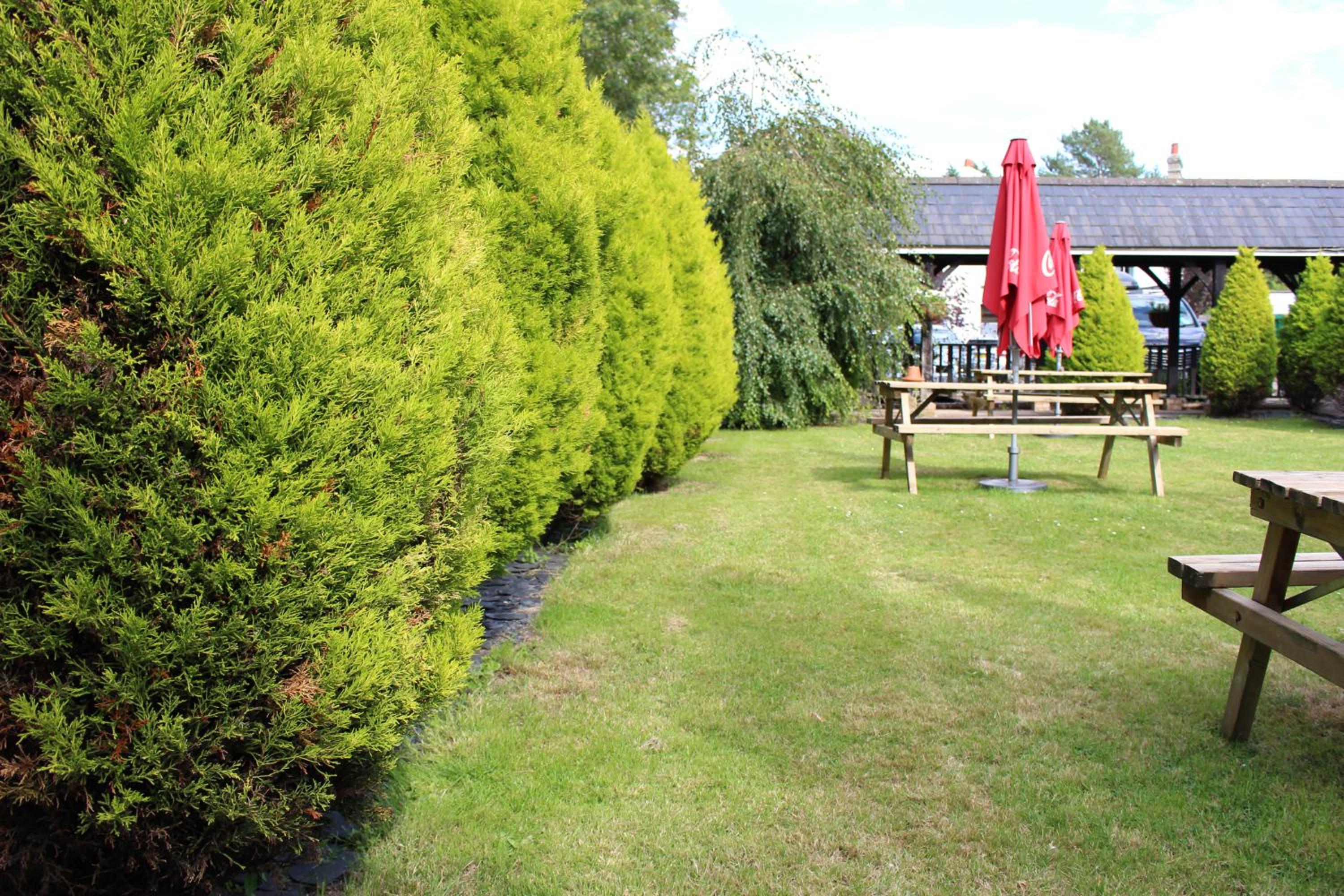 Photo 26