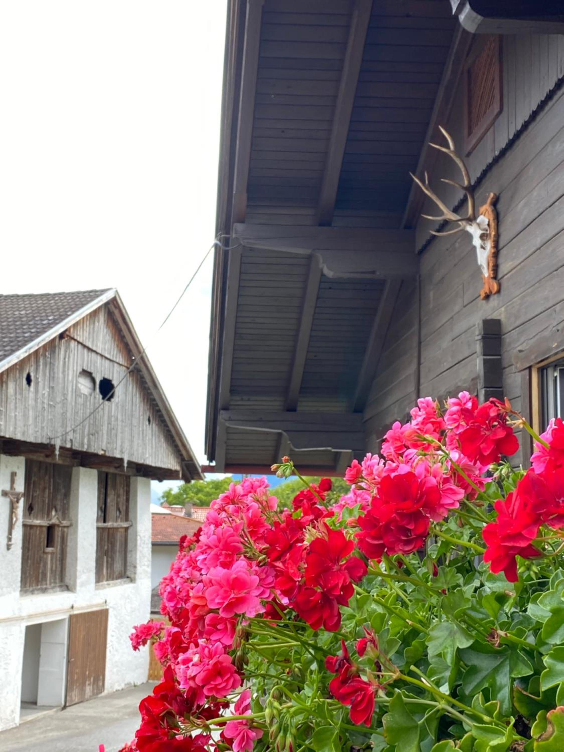 Ferienwohnung Dolomiten