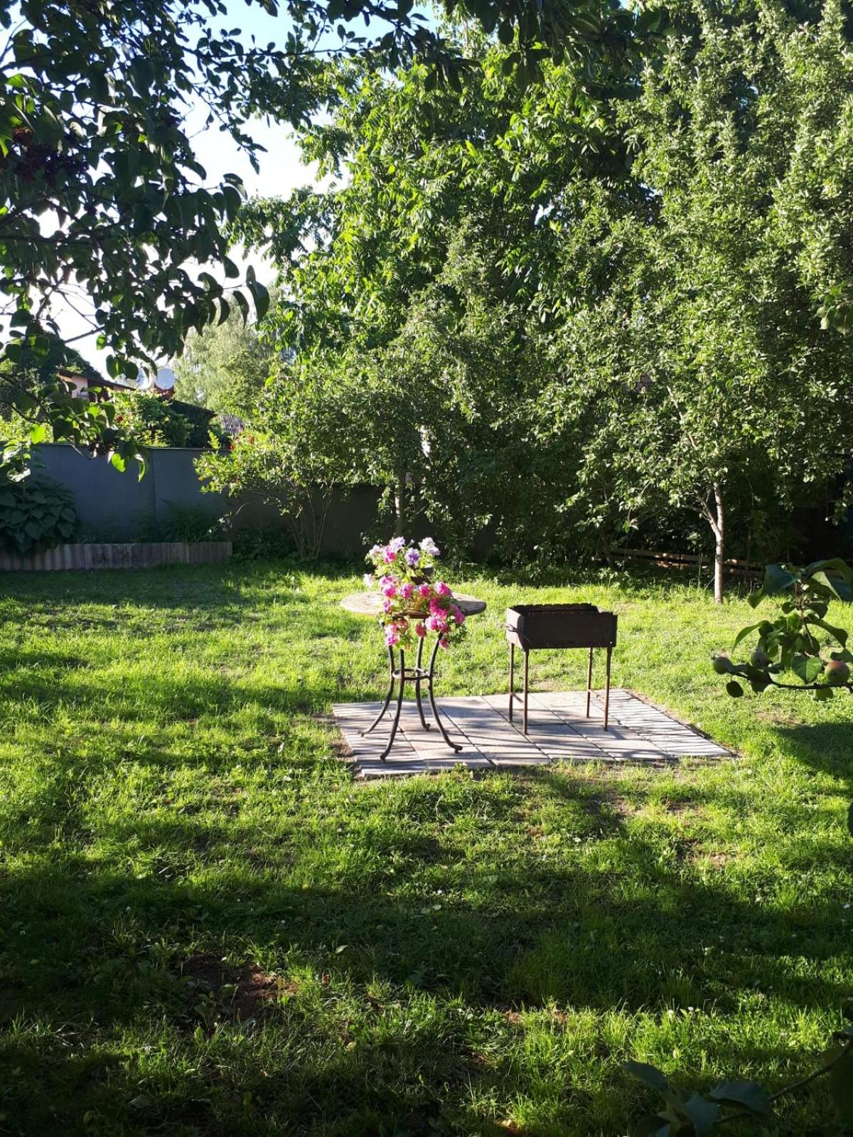 Photo 6