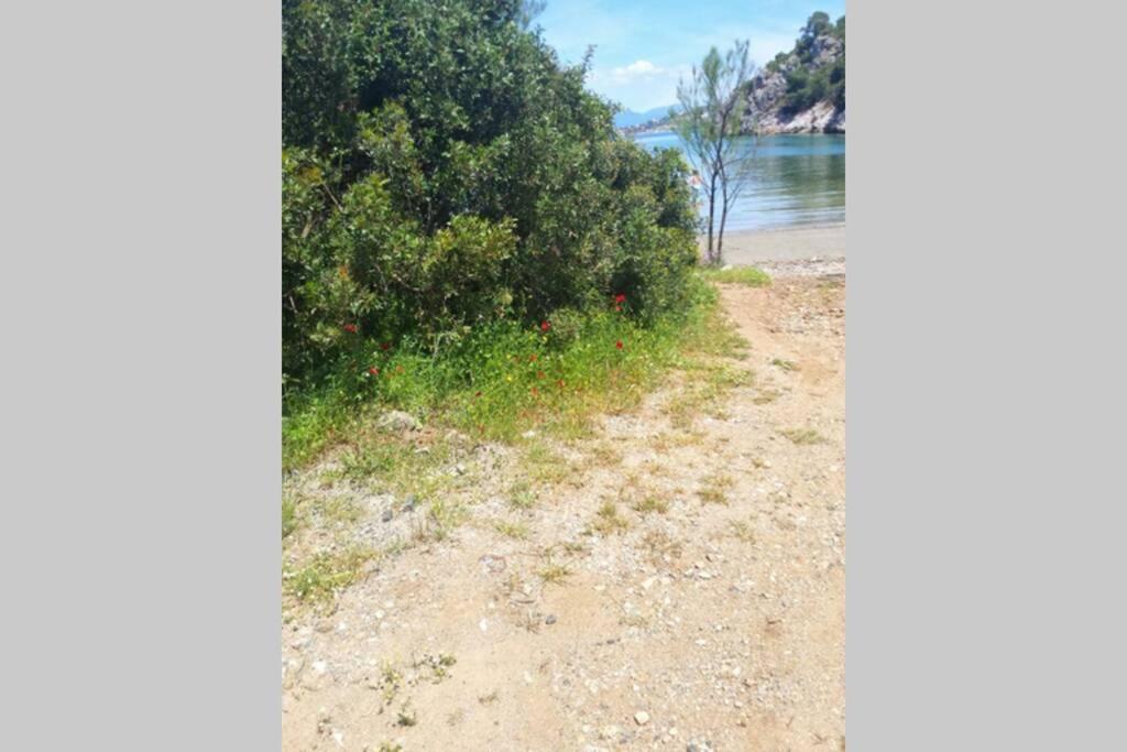 Photo 42