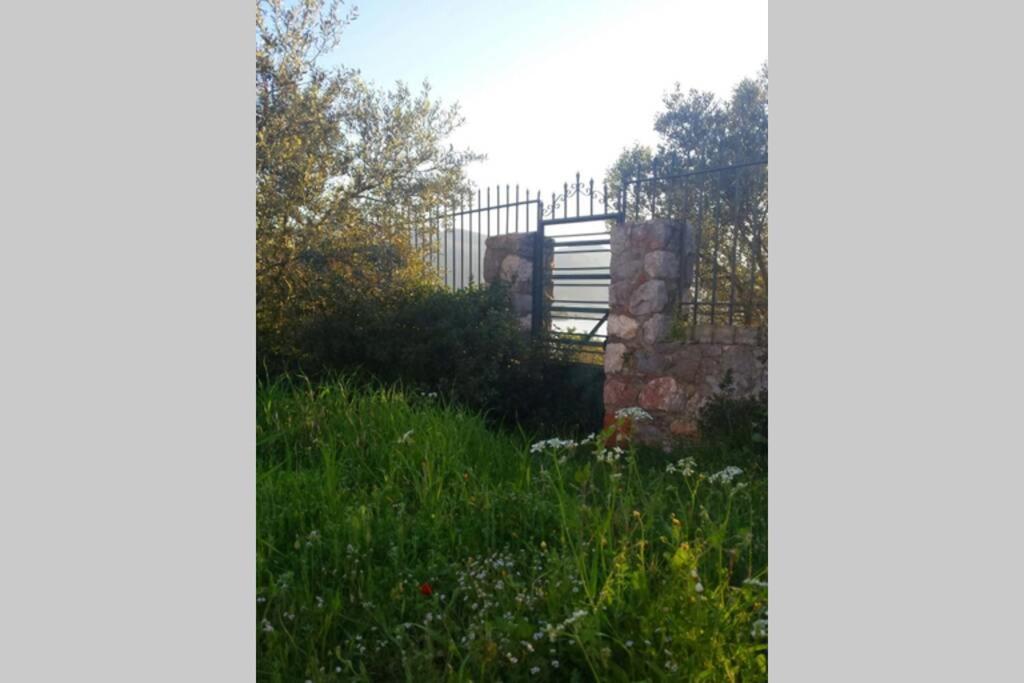 Photo 13