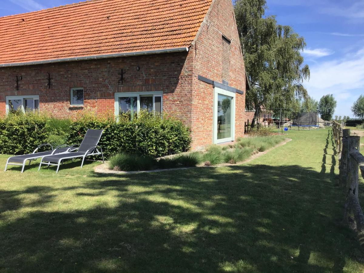 't Moerlogie