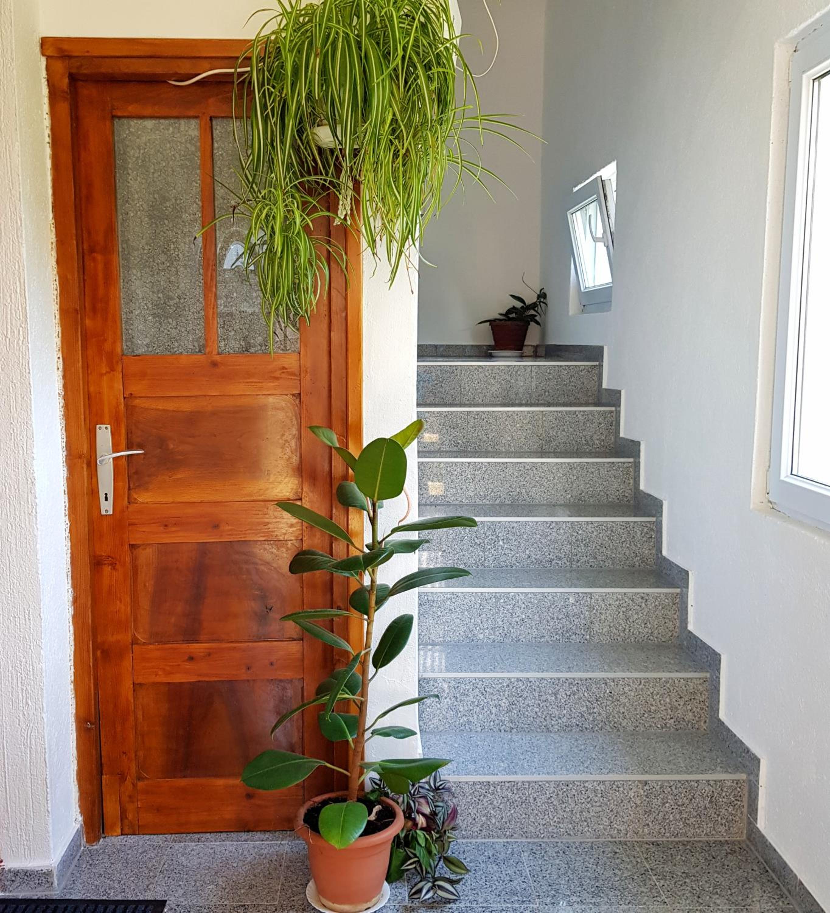 Apartman Lukić