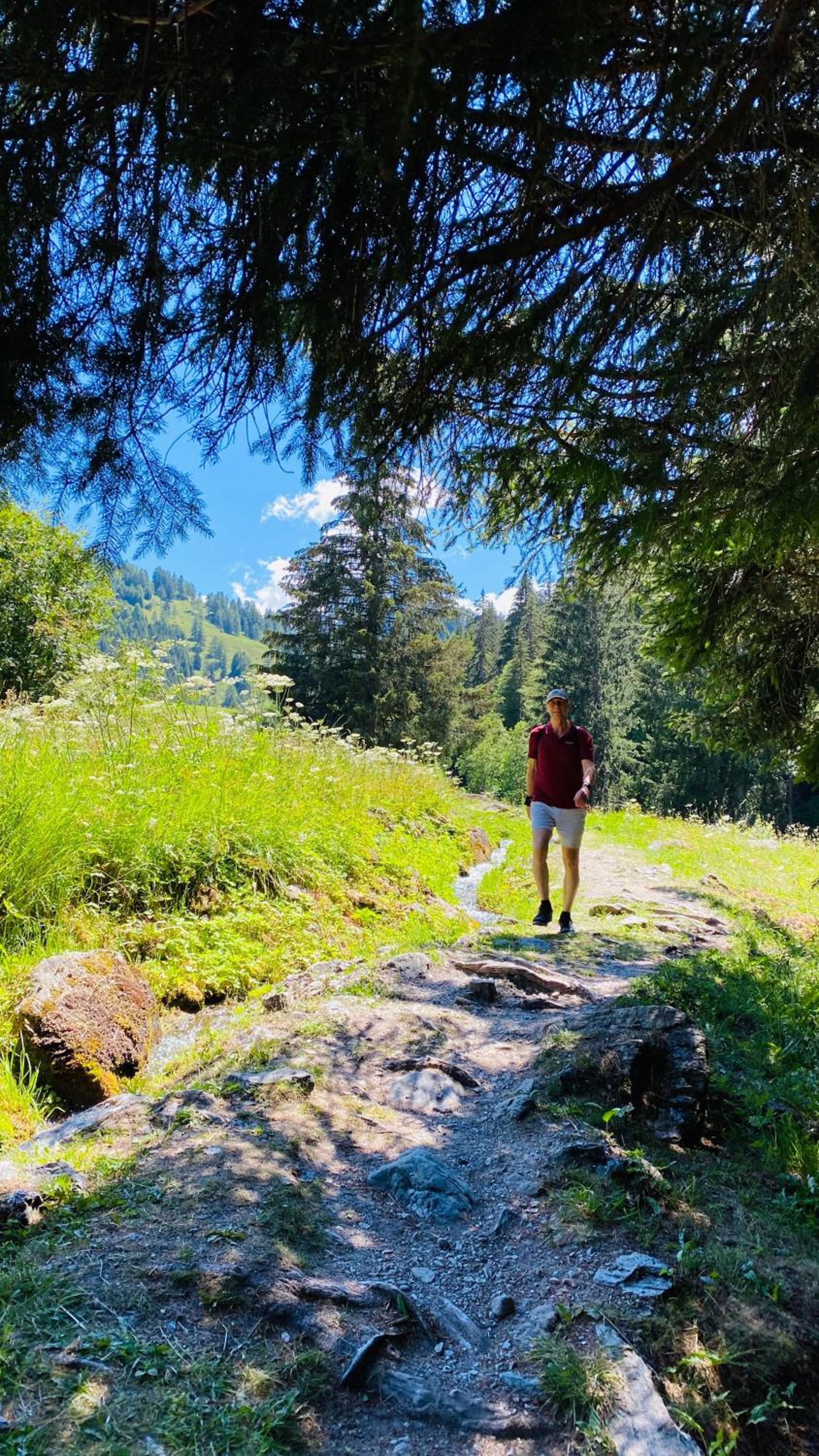 Le Cret Haute Nendaz