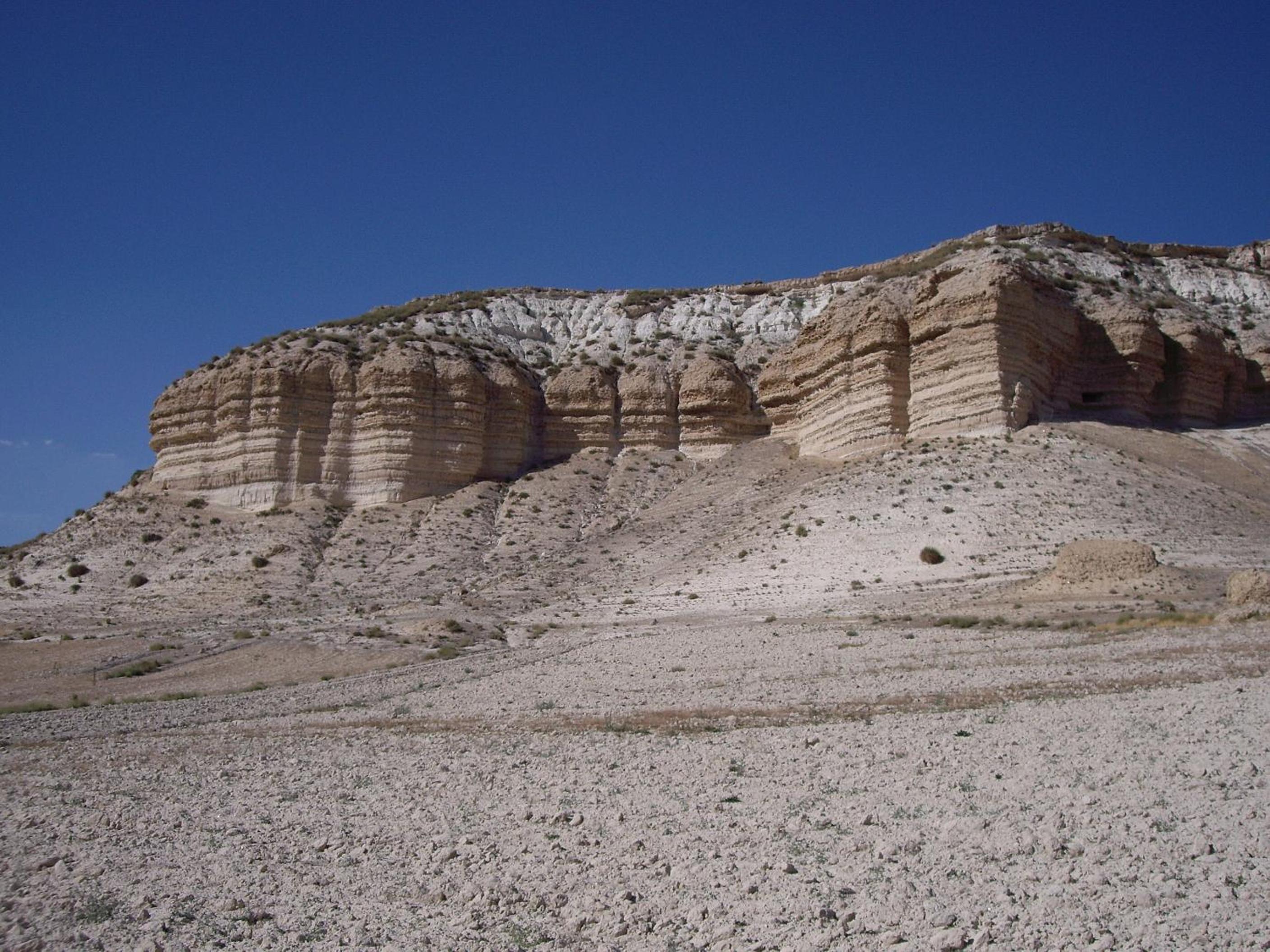 Photo 20