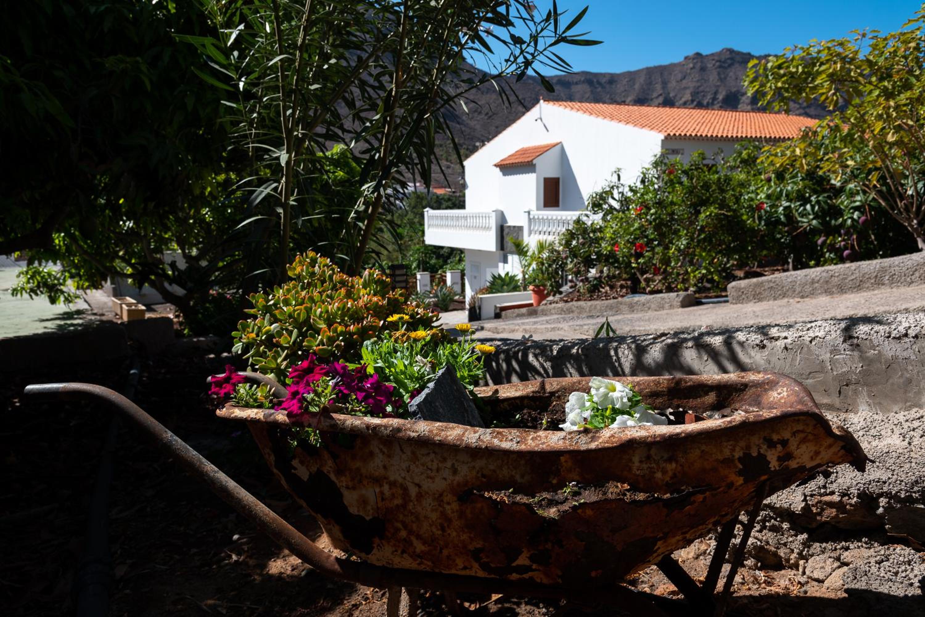 Finca el Moral view 5