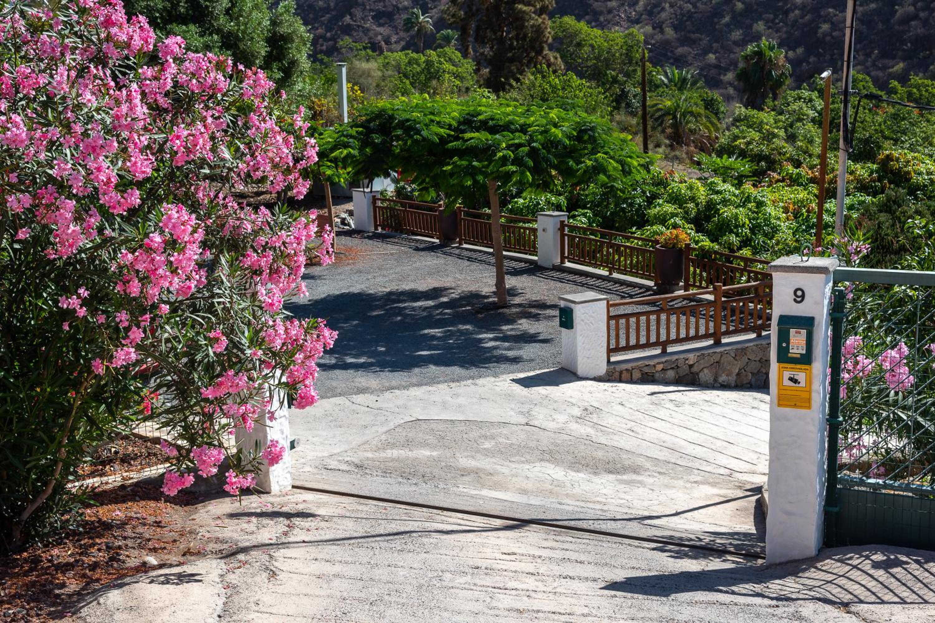 Finca el Moral view 4