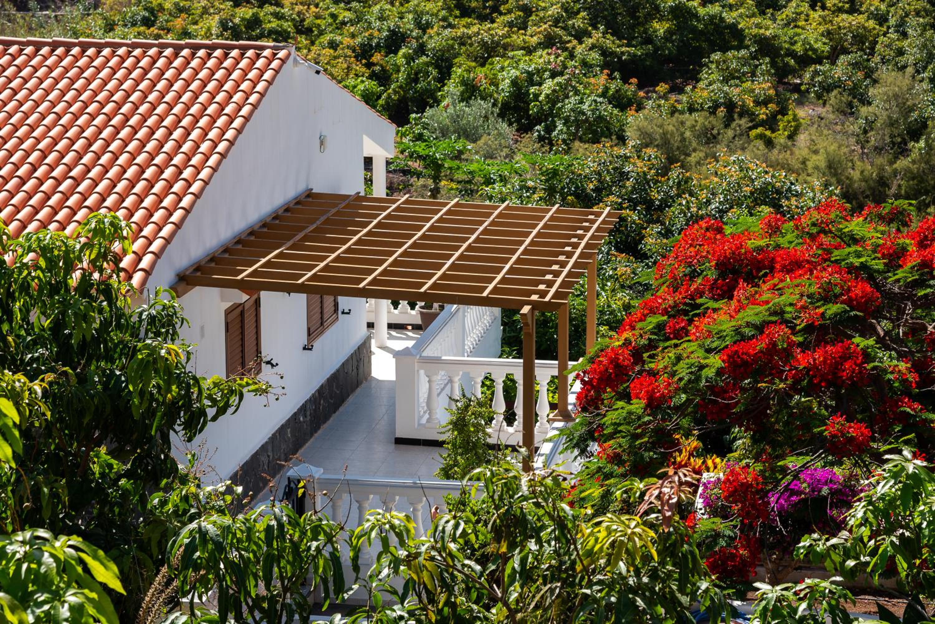 Photo 24