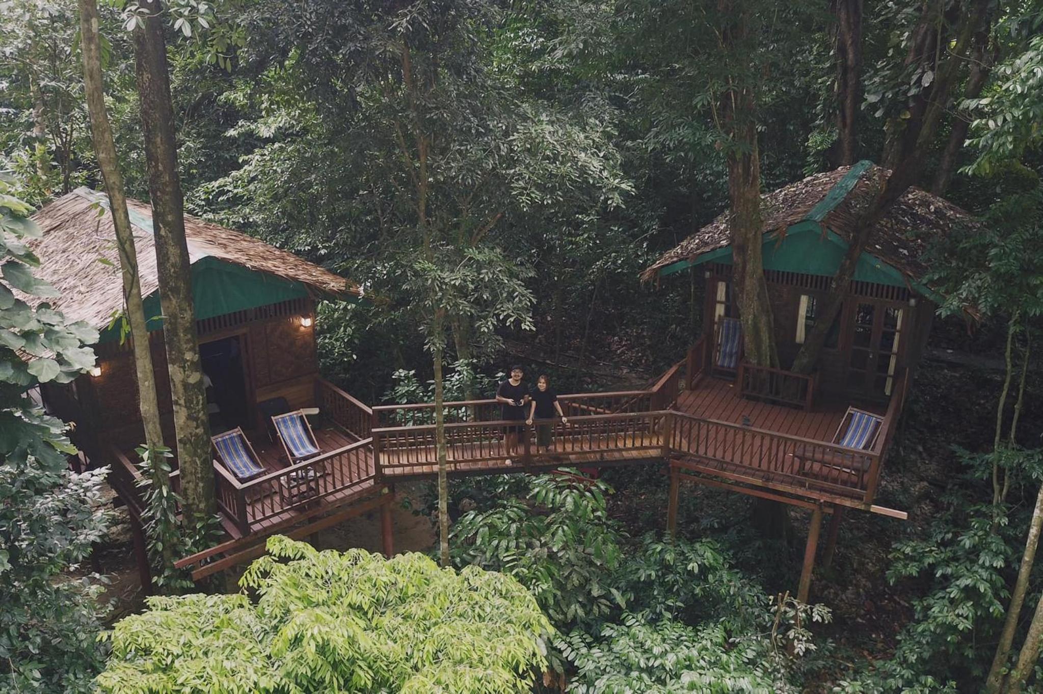 Our Jungle House
