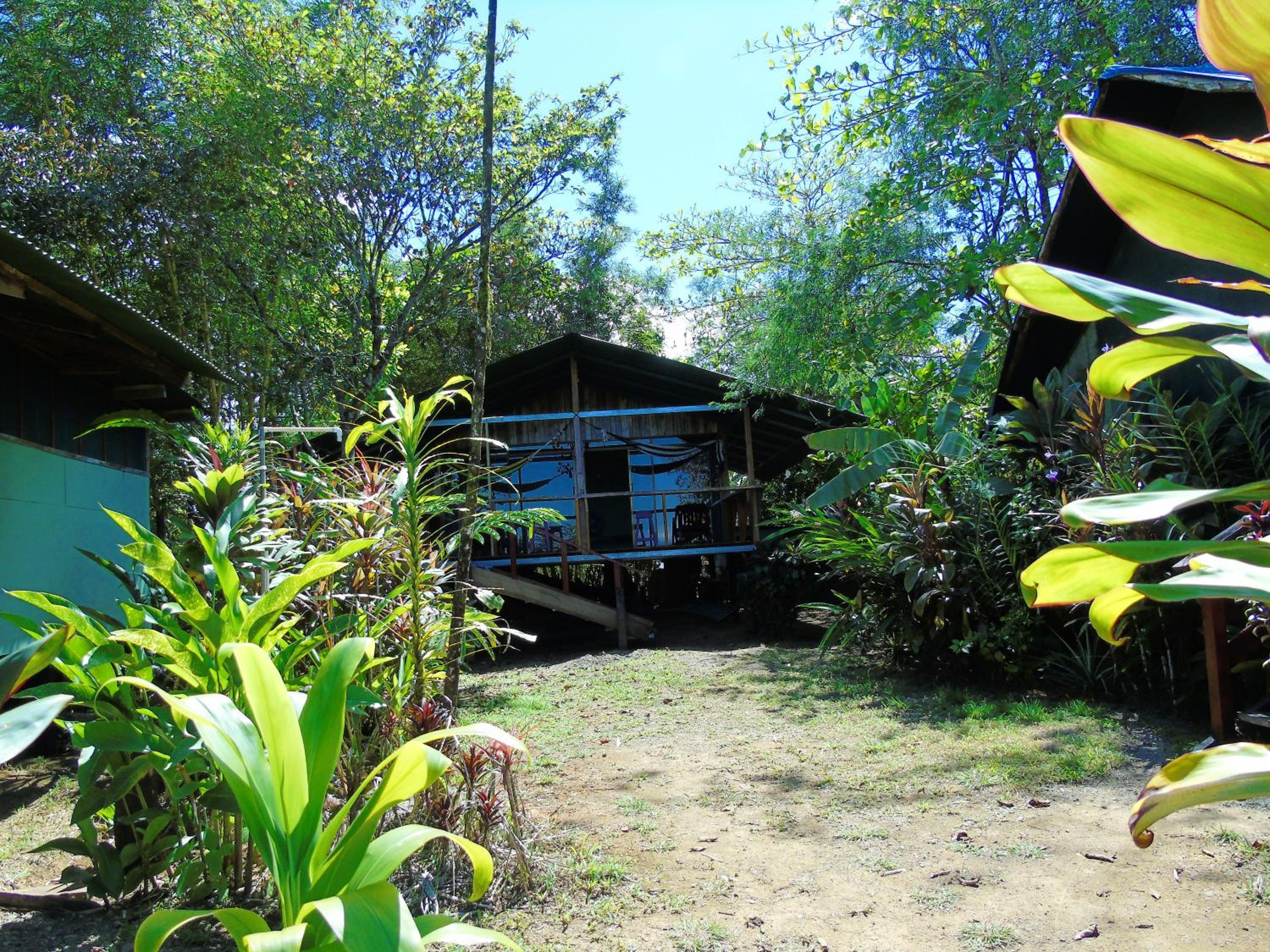 Photo 10