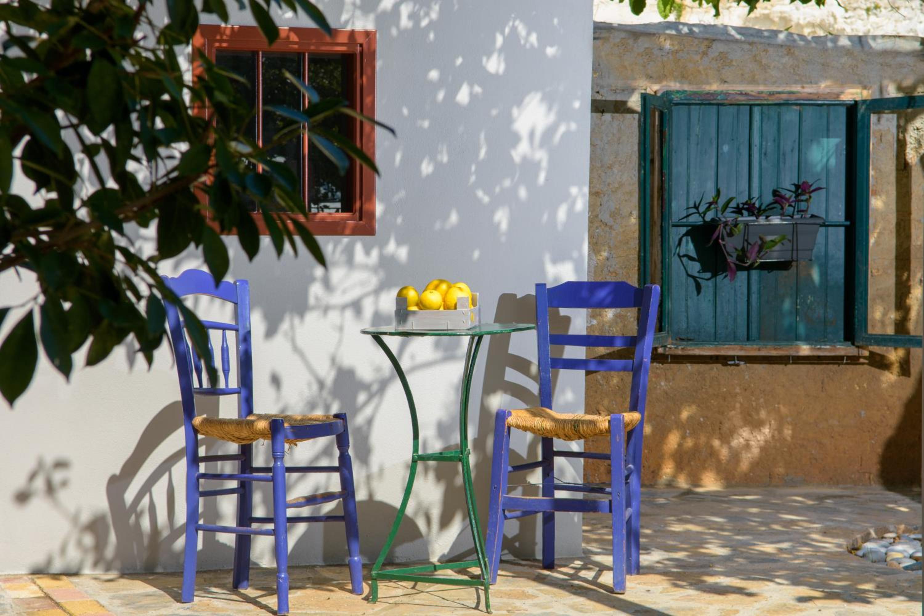 Pavlakis Lemon-Tree House photo 2