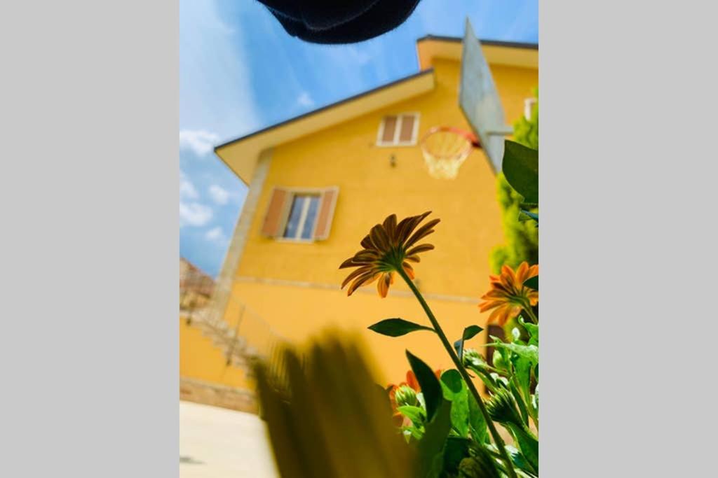 Flowery House view 5