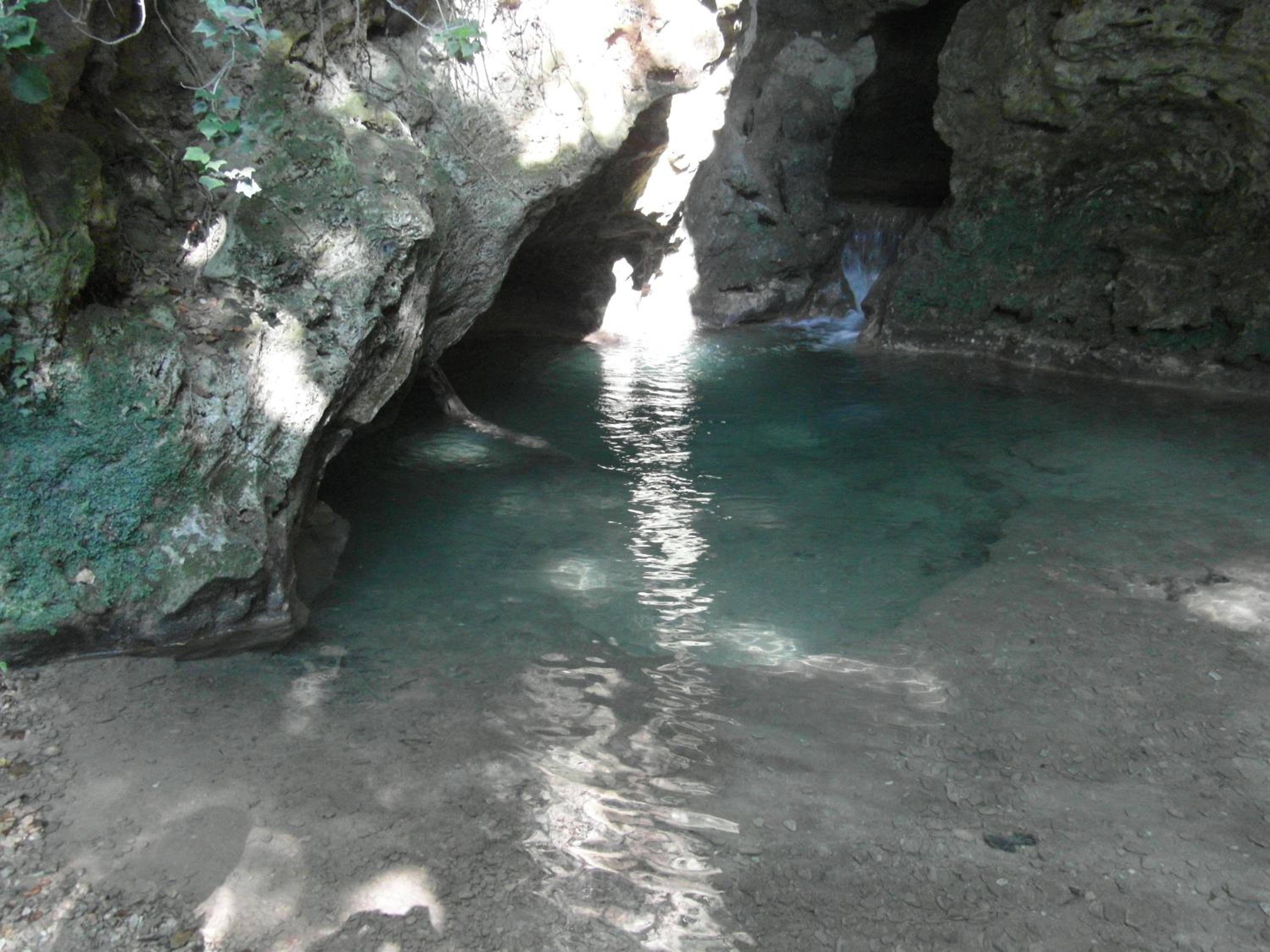 Photo 47