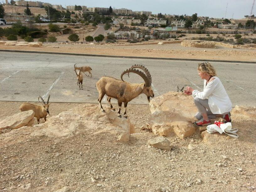 Aloni - Guest house Dead Sea
