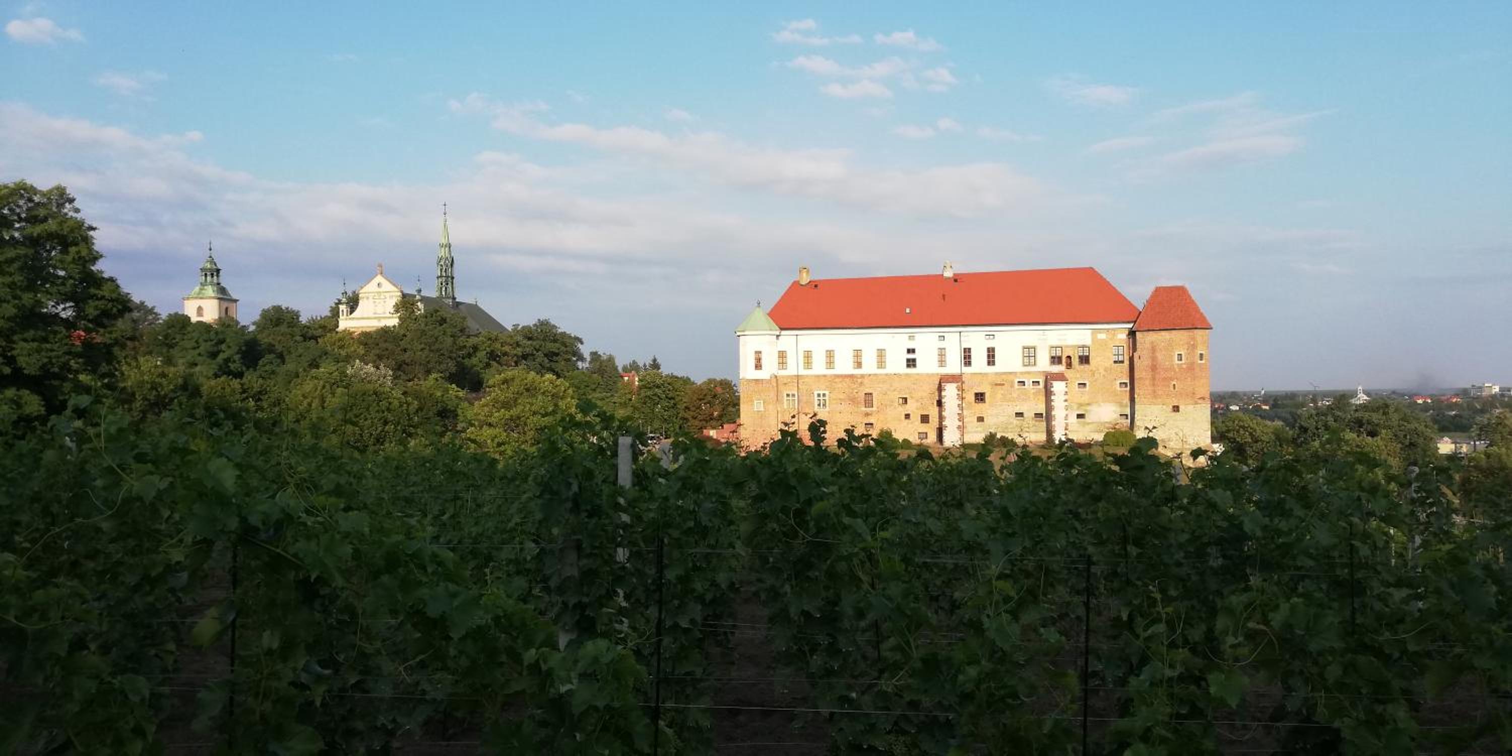 Apartament Przy Długosza view 2