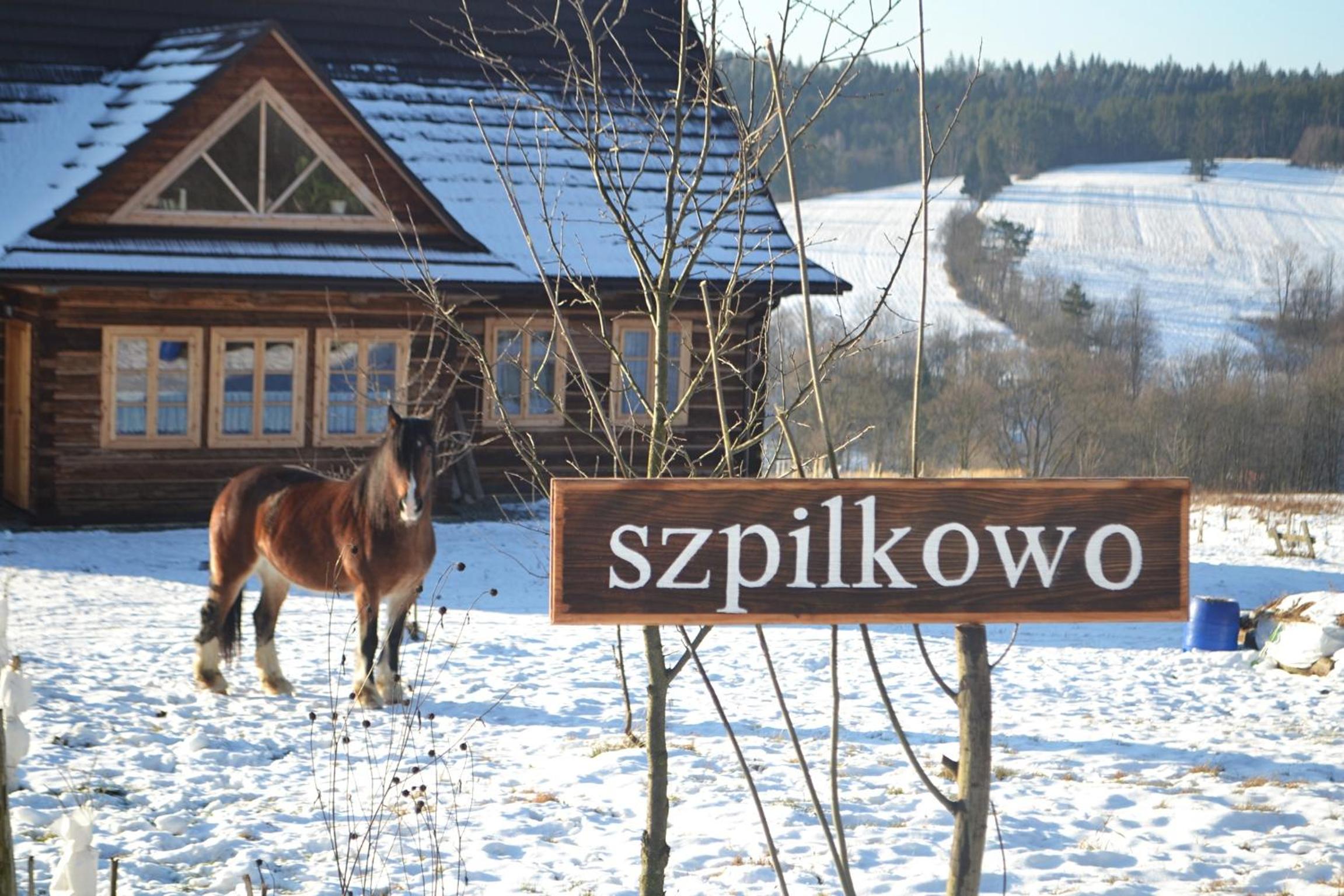 Dom Gościnny Szpilkowo view 5