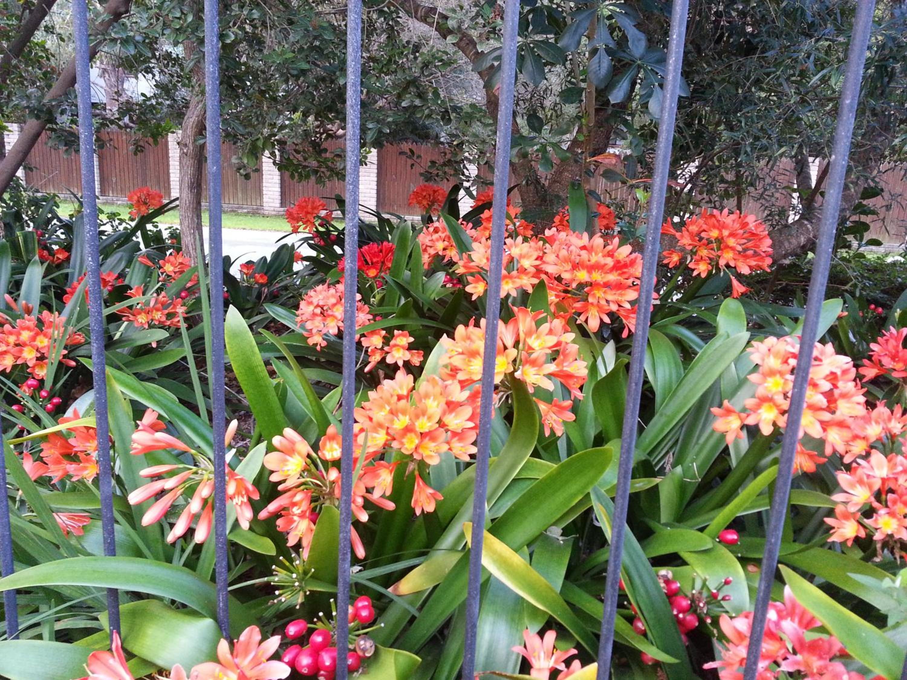 Photo 62