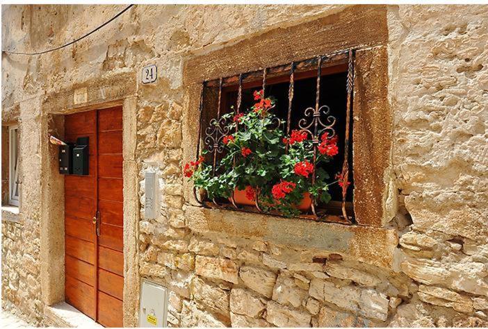 Studios Dalino view 2