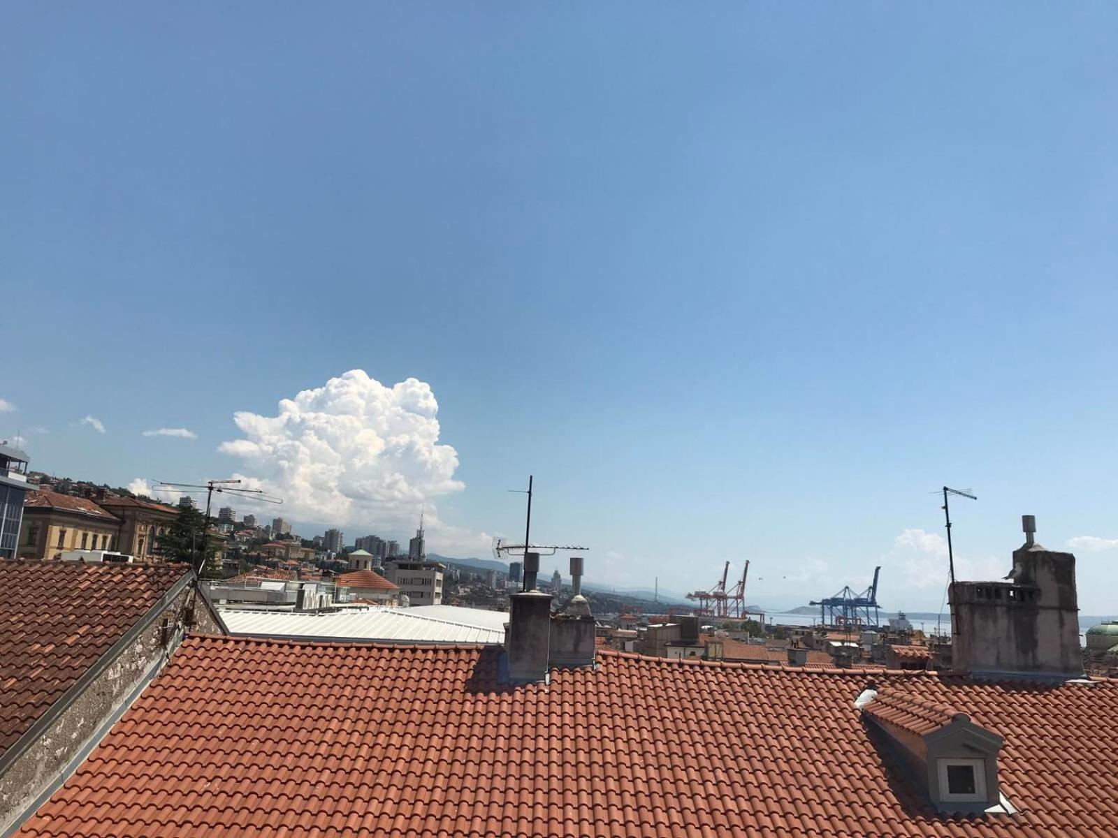 roof