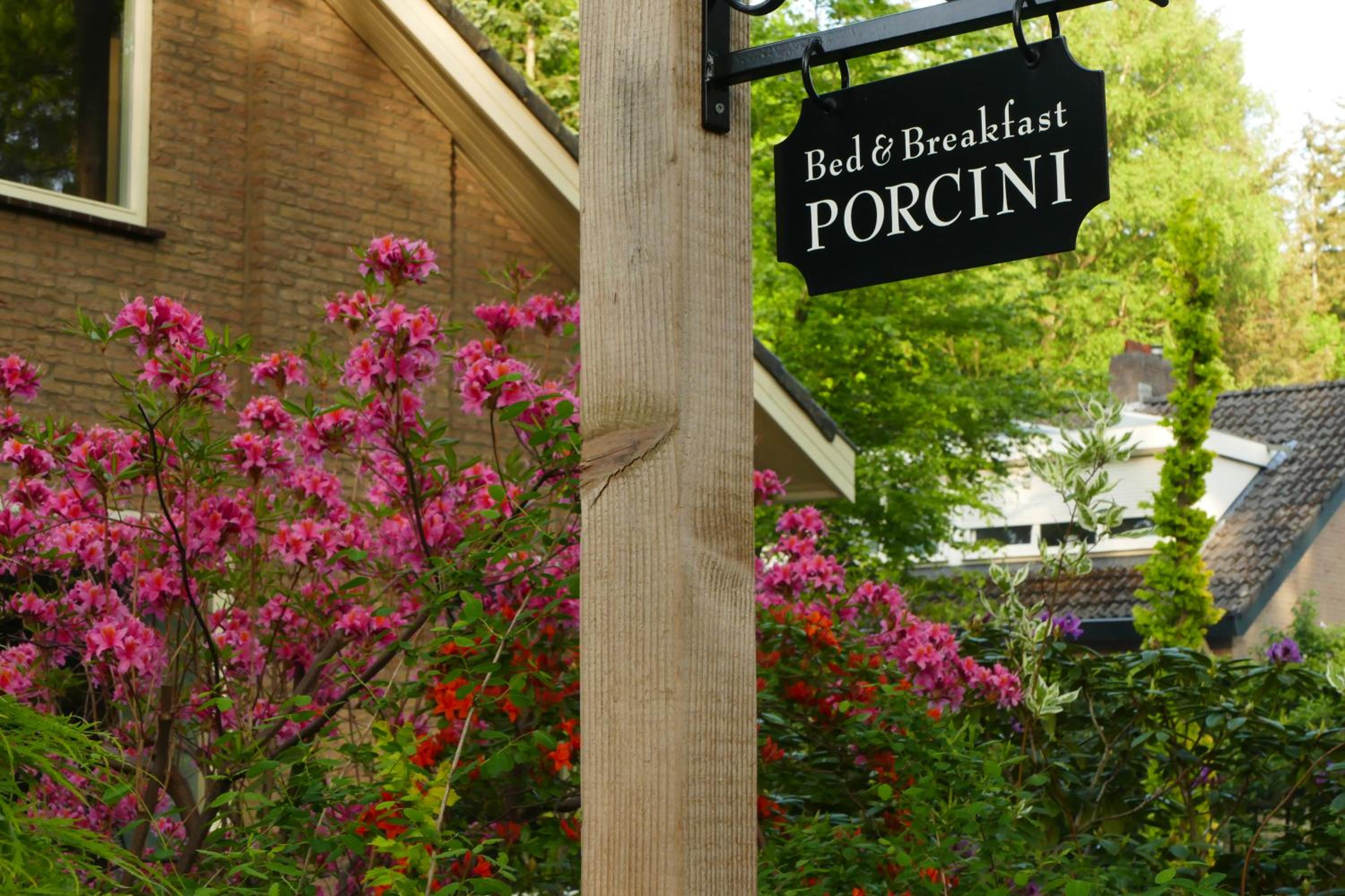 B&B Porcini view 2
