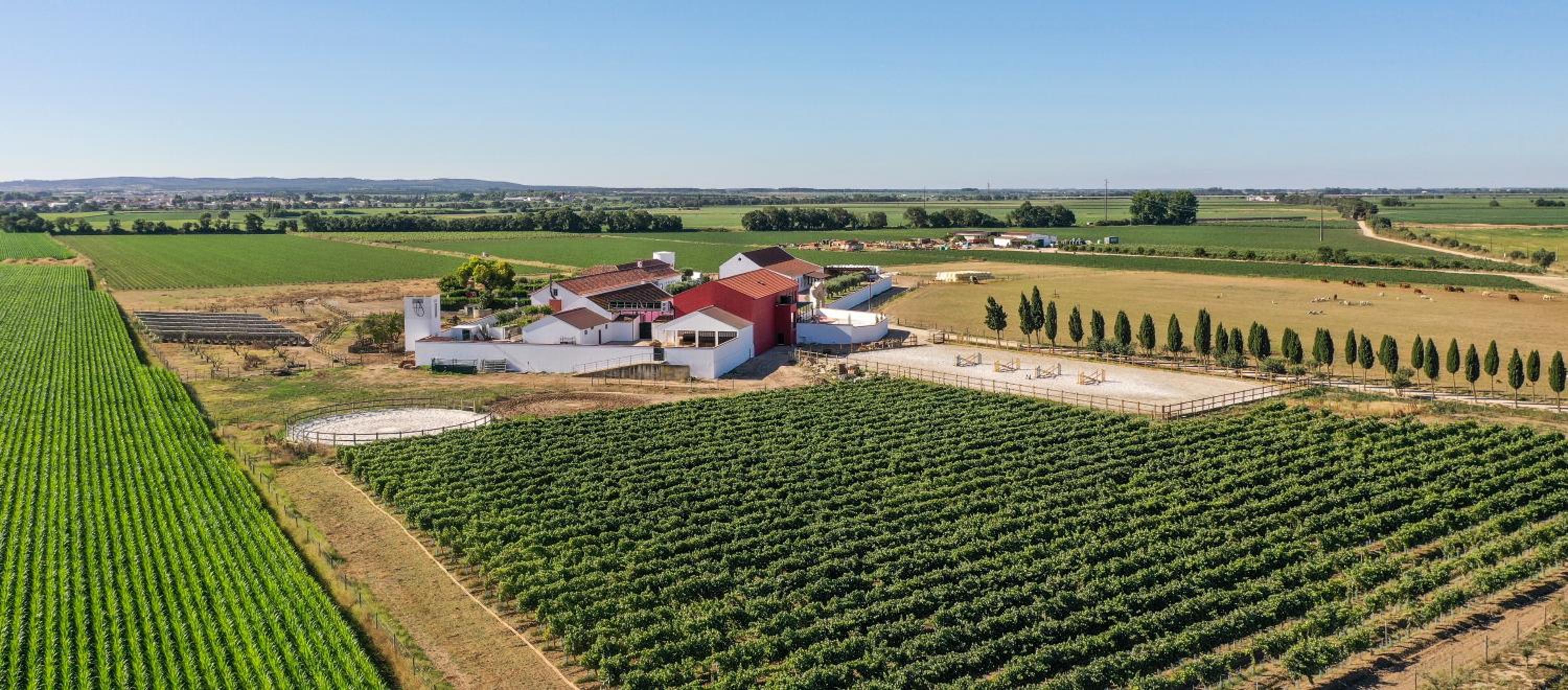 Quinta da Gafaria