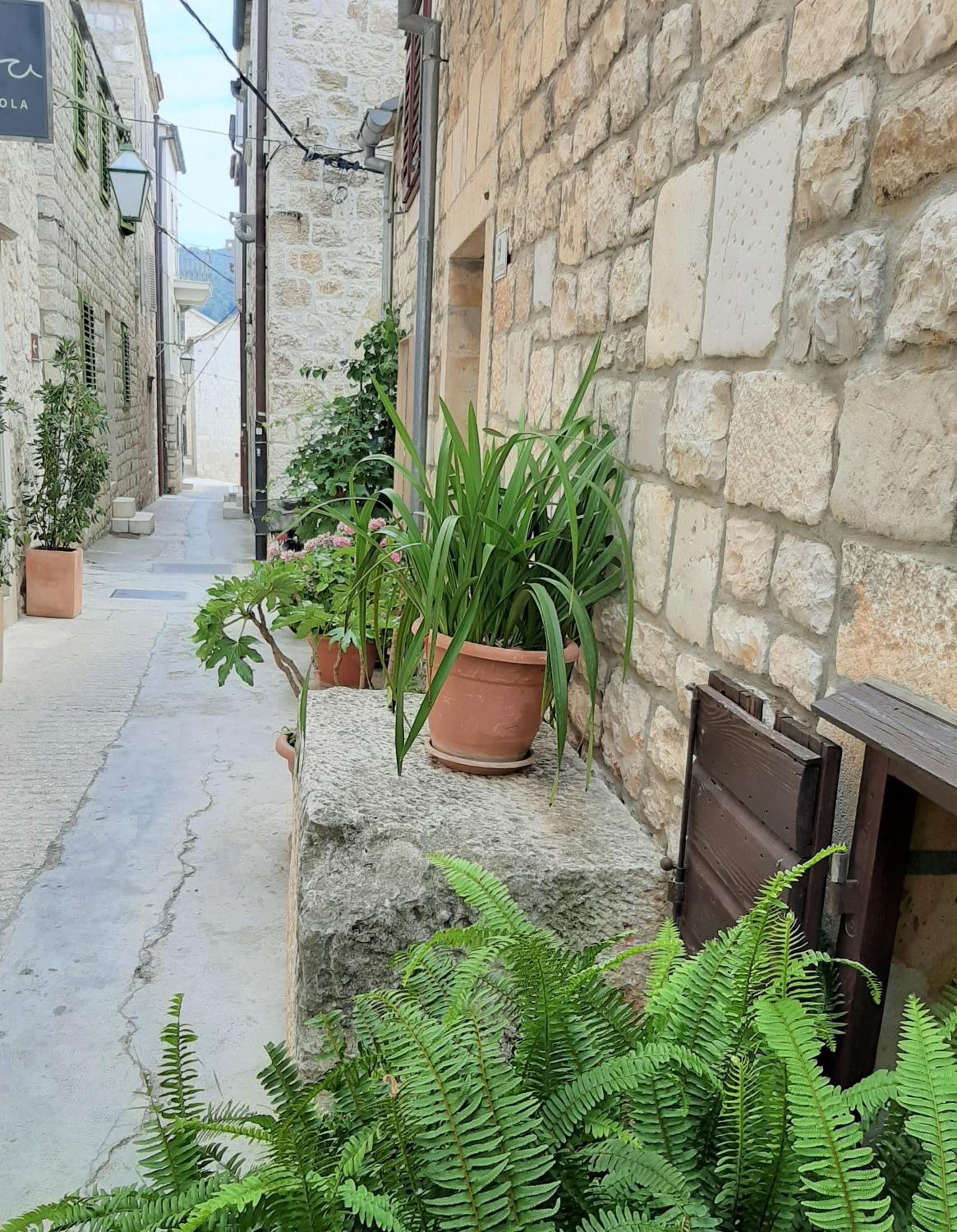 Photo 31