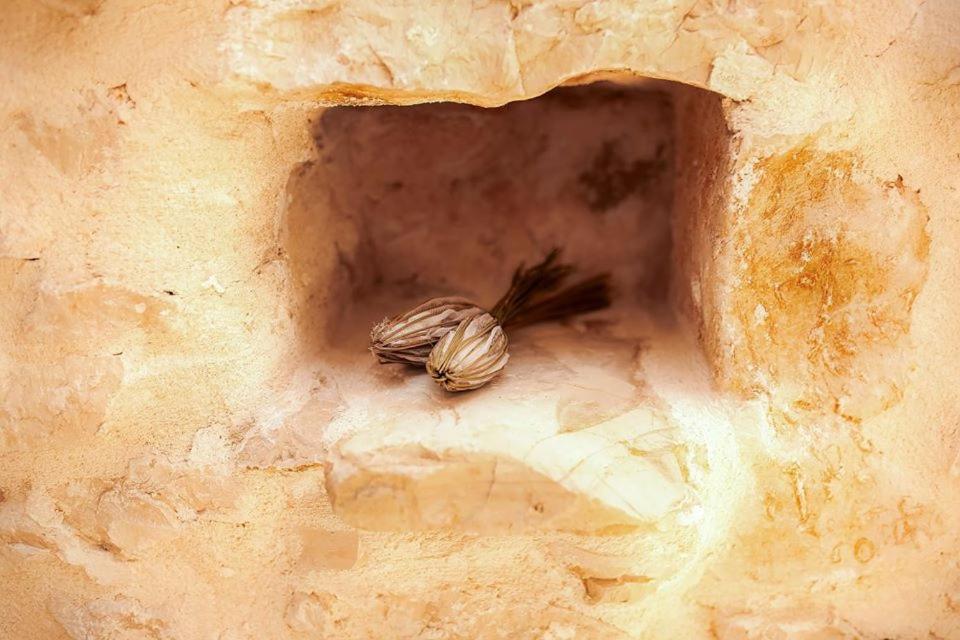 Photo 49
