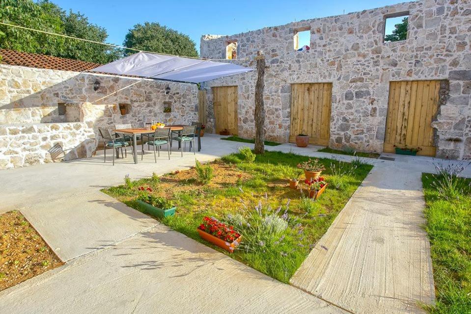 Photo 19