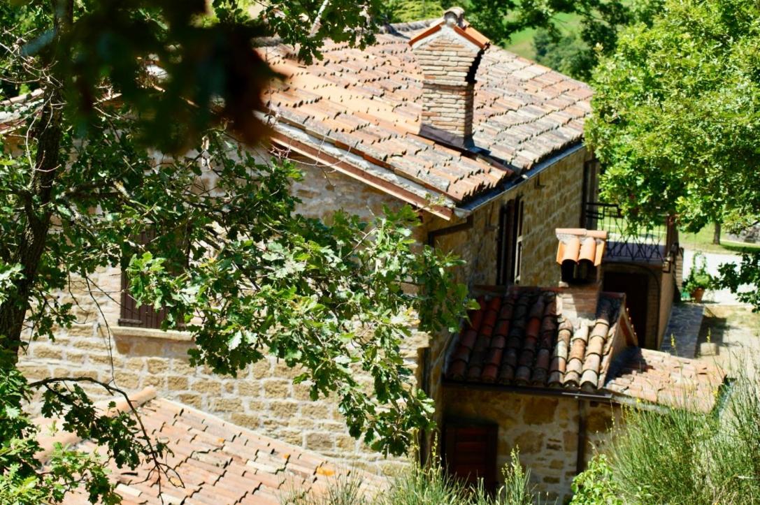 La Petriola Casa Vacanze view 4