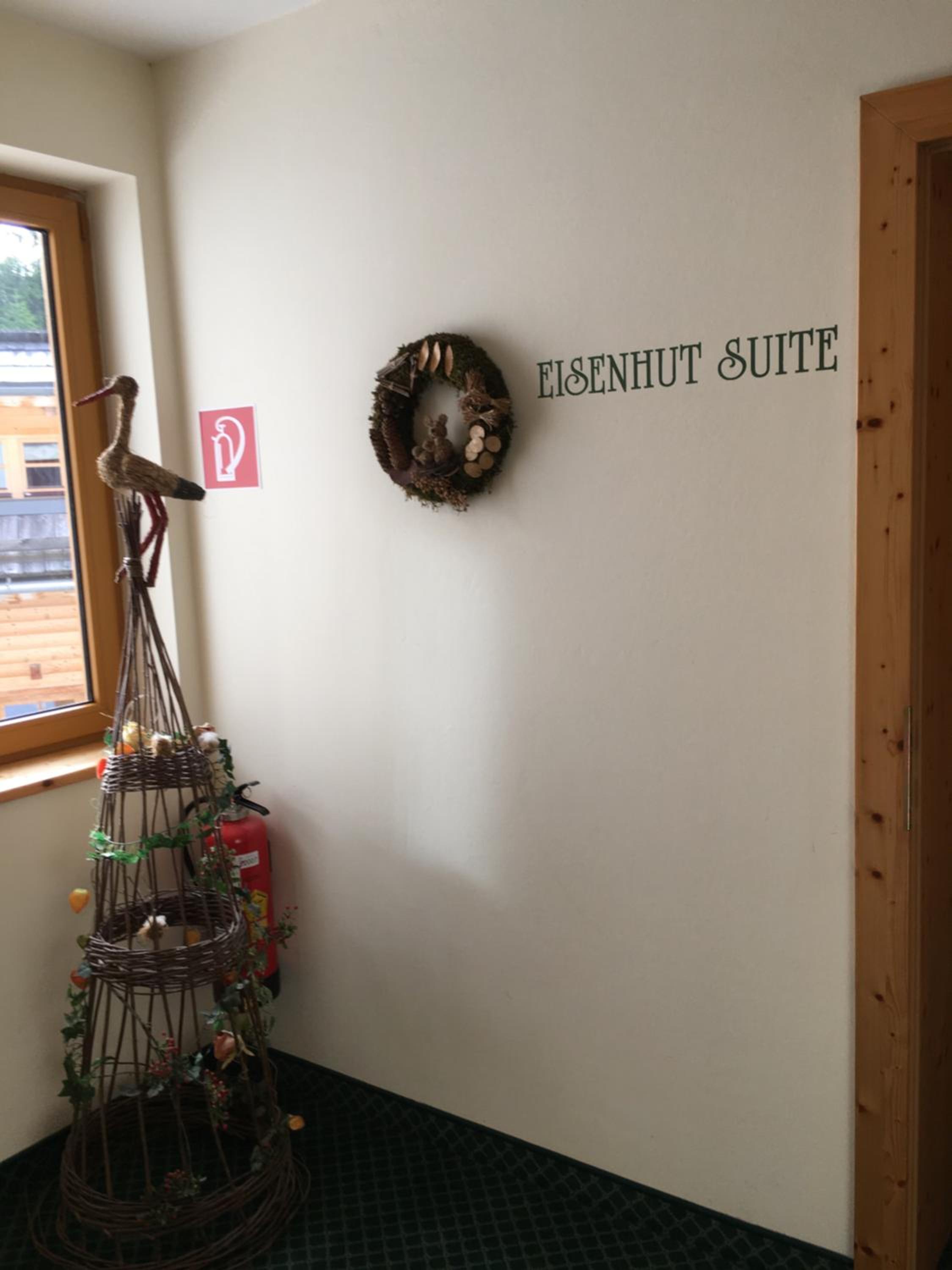 Eisenhut Suite 3