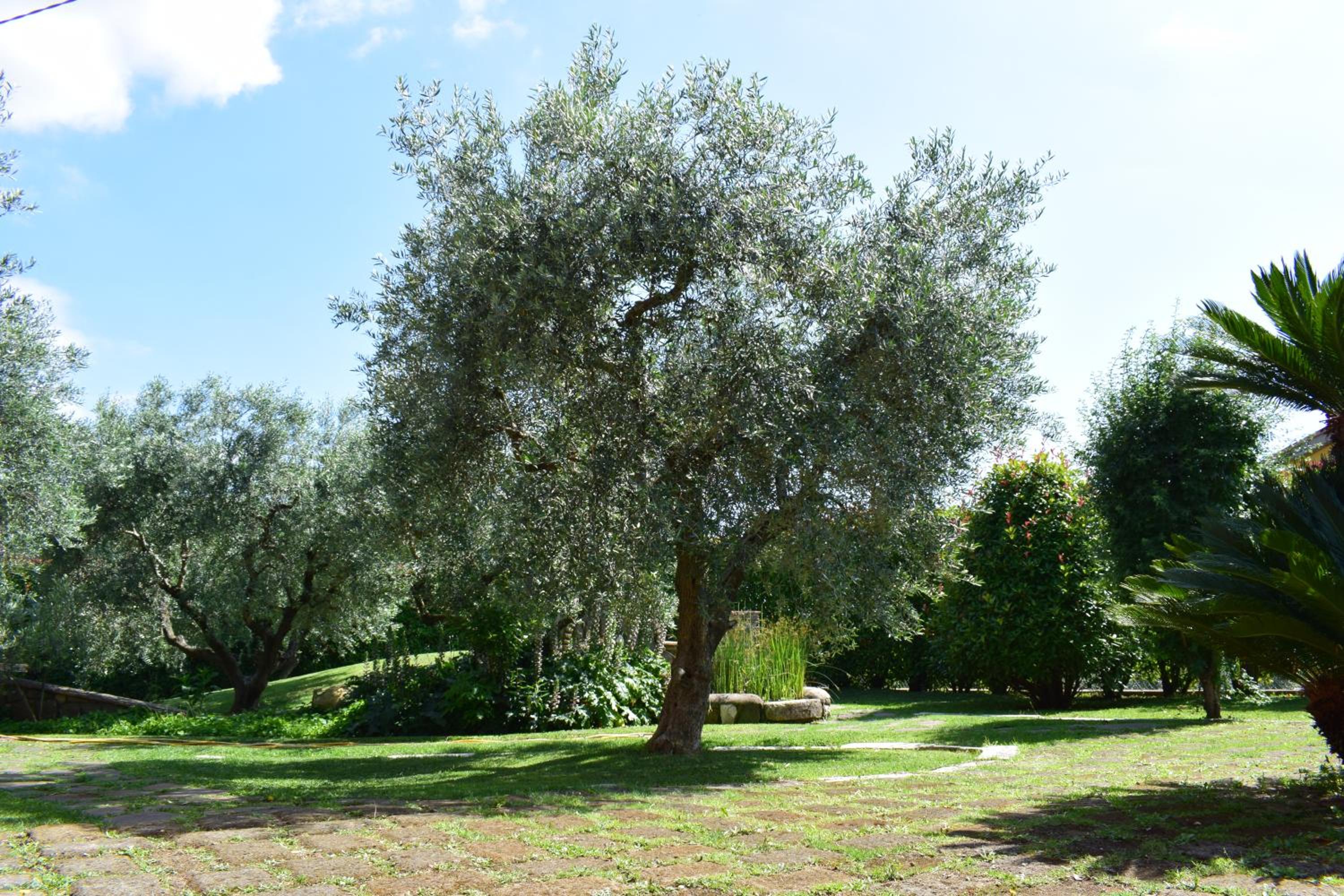 Locanda Pinocchio