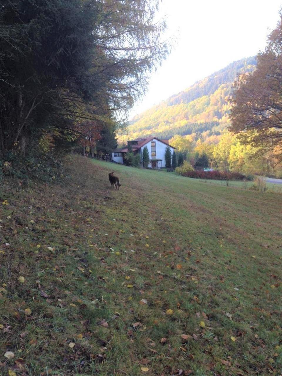 Waldnest Odenwald - Property Image 17