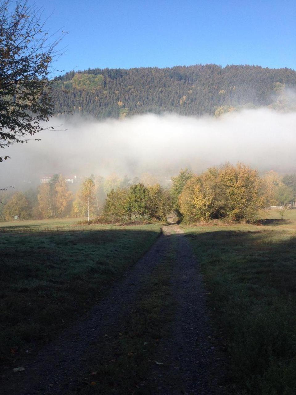Waldnest Odenwald - Property Image 30