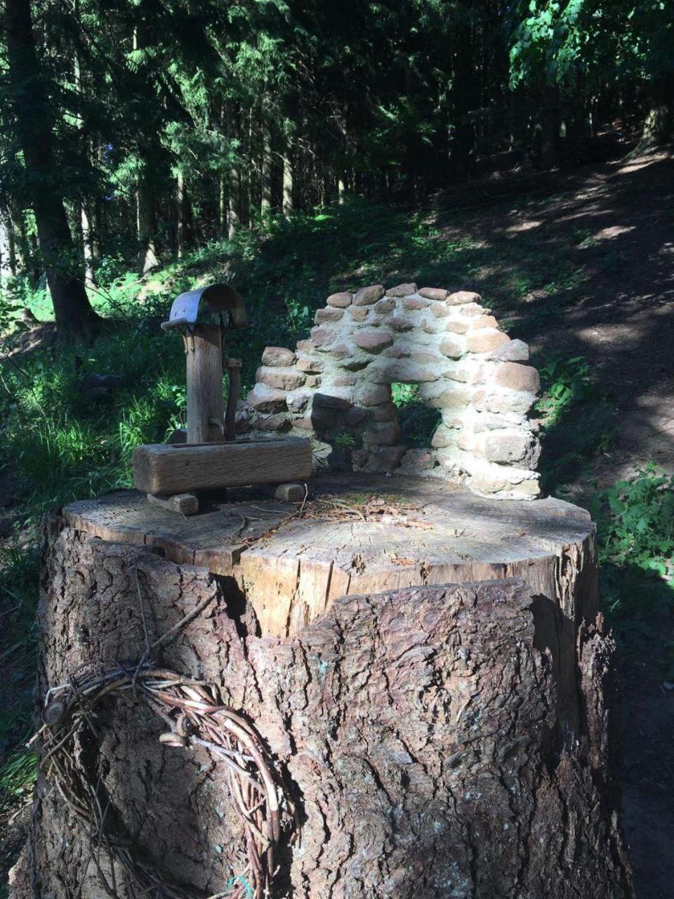 Waldnest Odenwald - Property Image 27