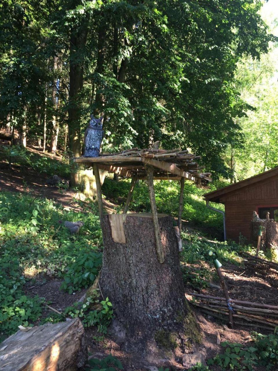 Waldnest Odenwald - Property Image 26