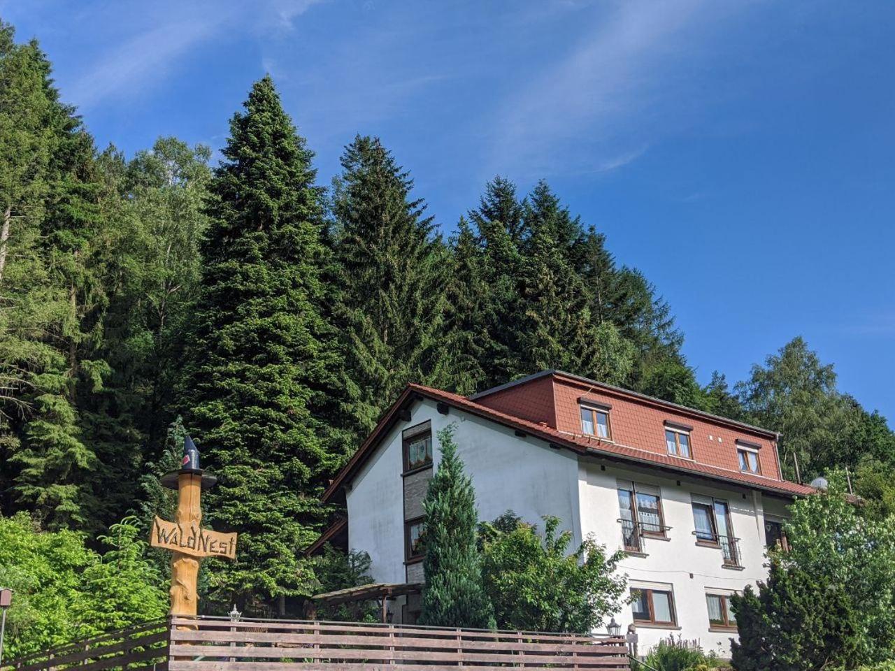 Waldnest Odenwald - Property Image 18